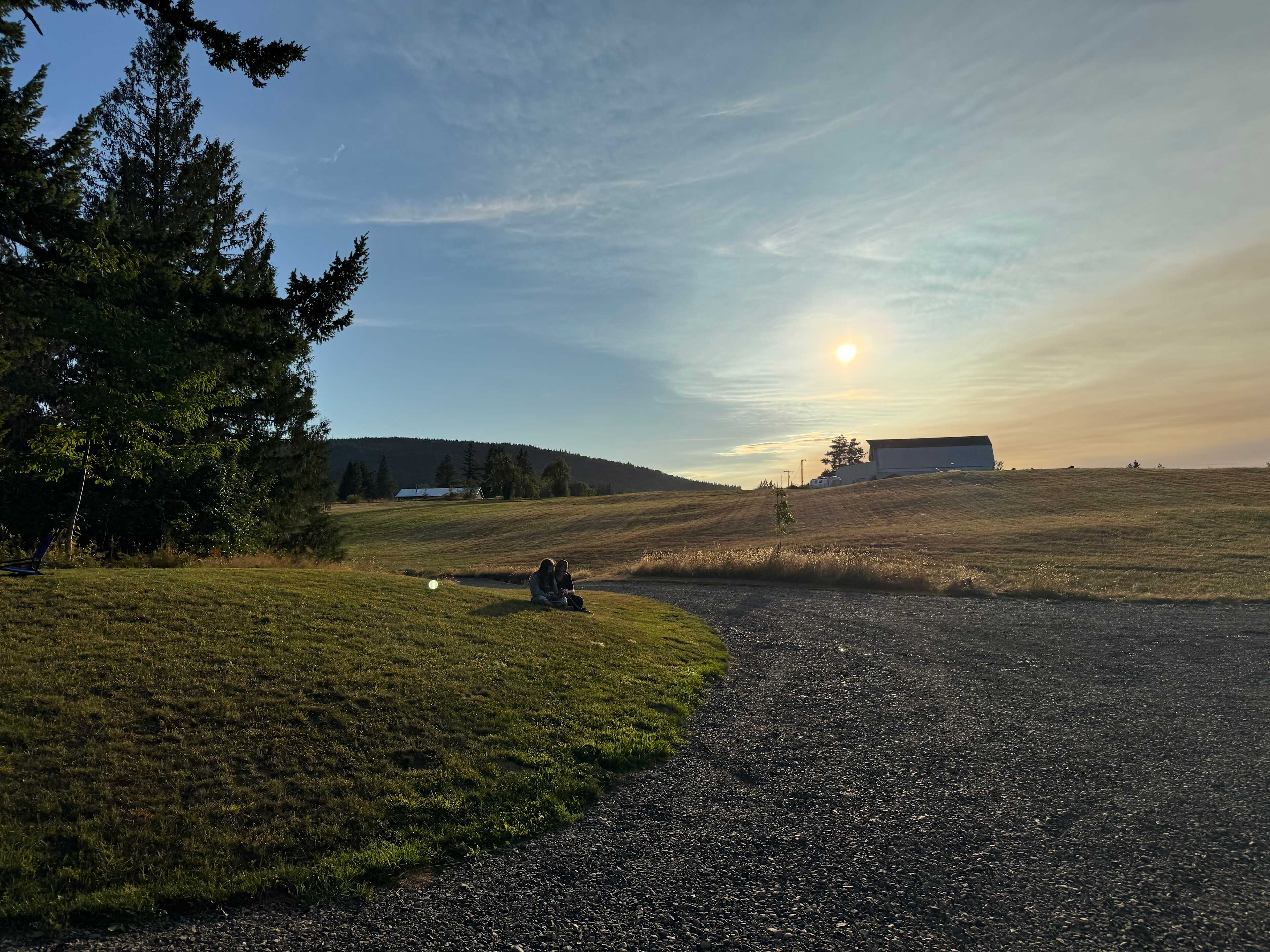 Rusty Ranch Tree Farm and Forest