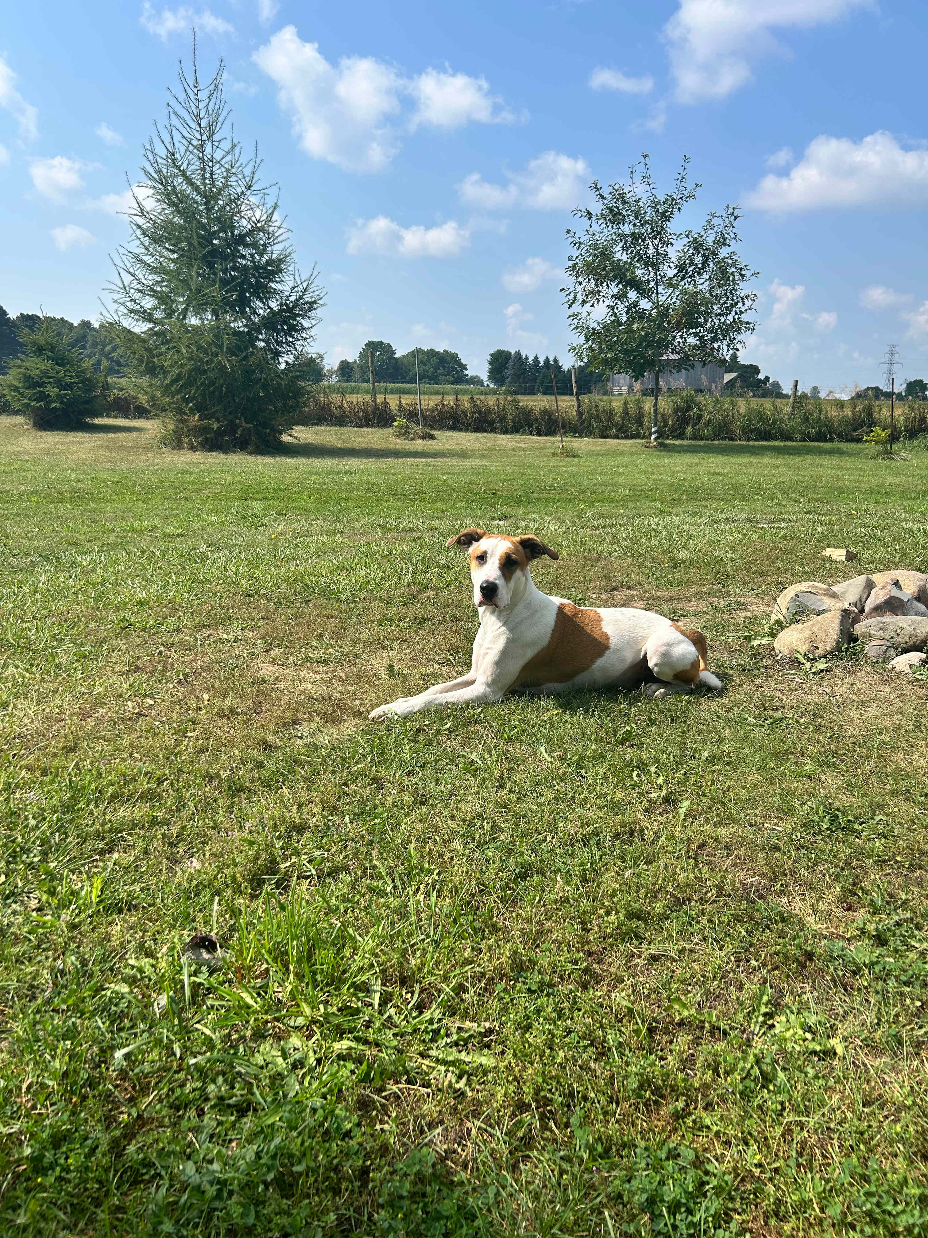 Hidden Oasis Near Elora