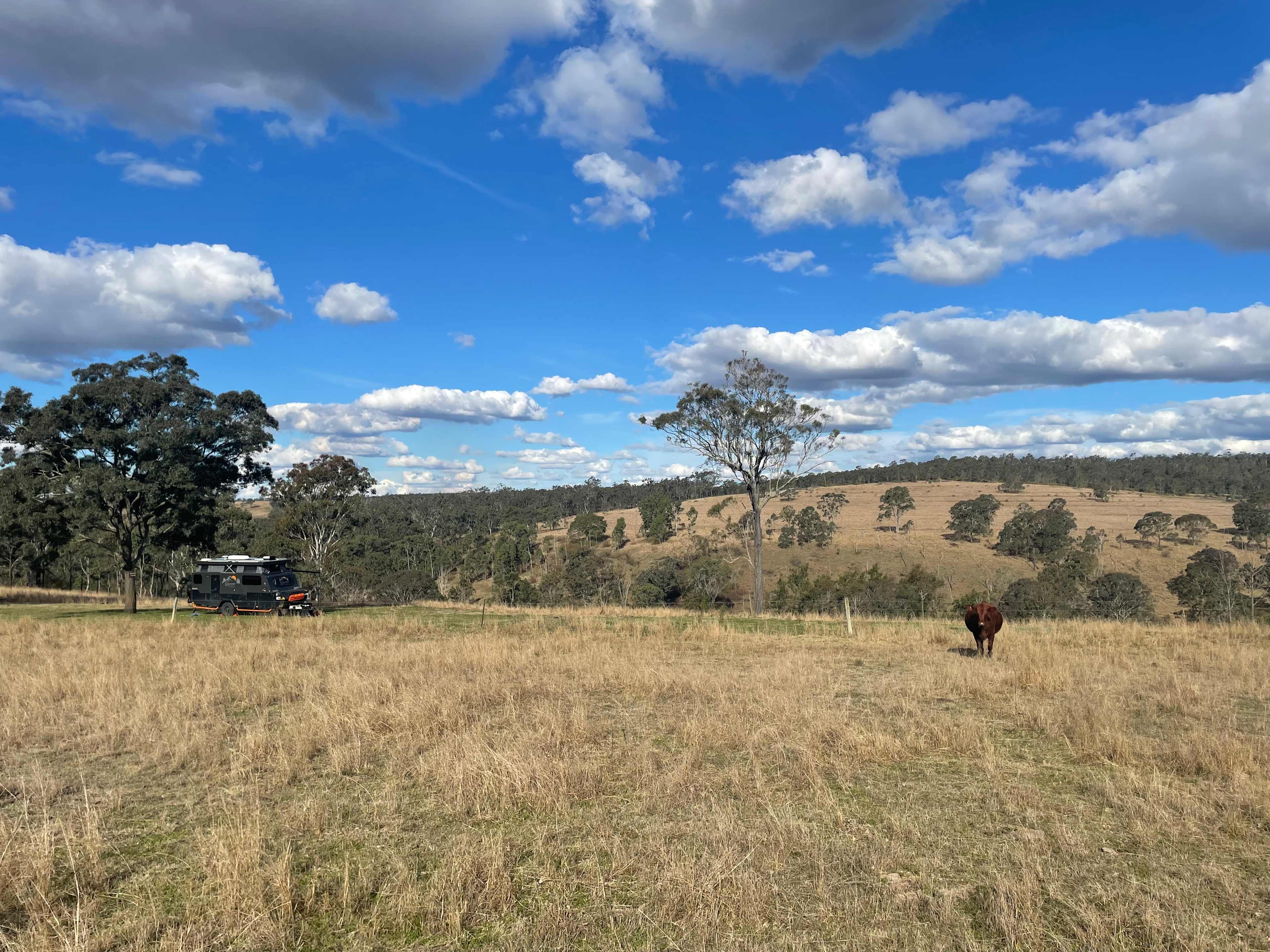 Tinara, 200 acre cattle farm 