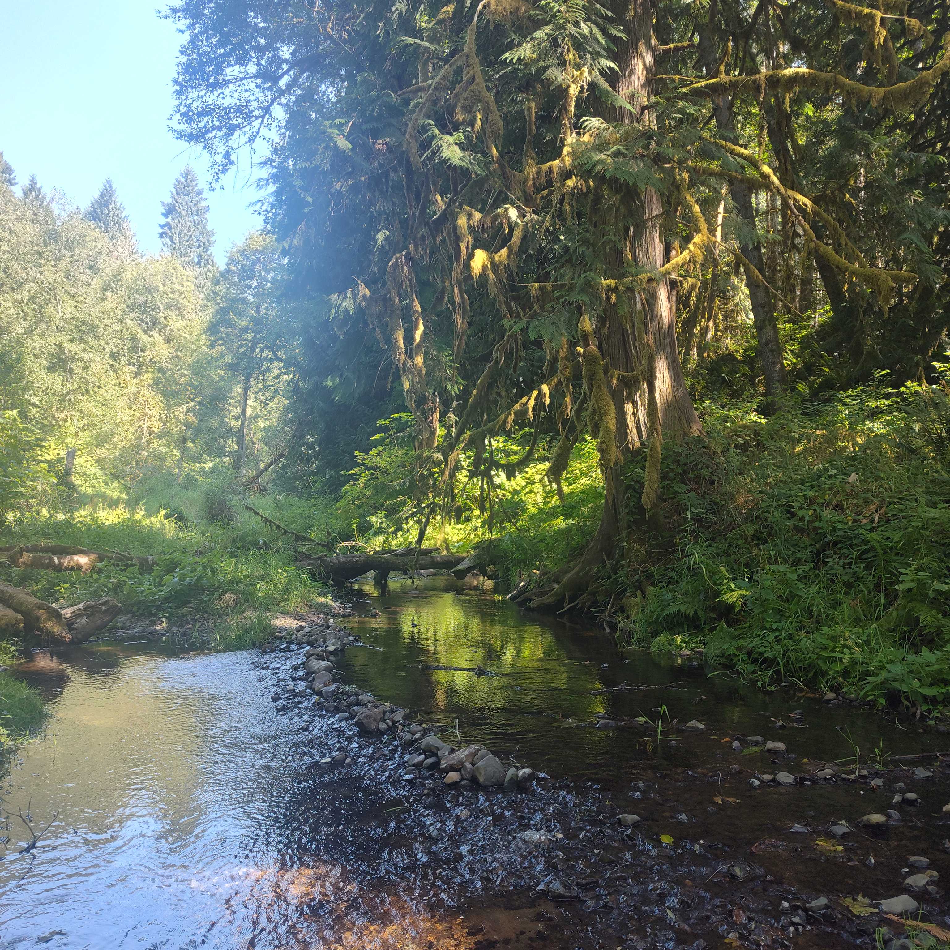 Hillside Vista RV / Creekside Camp