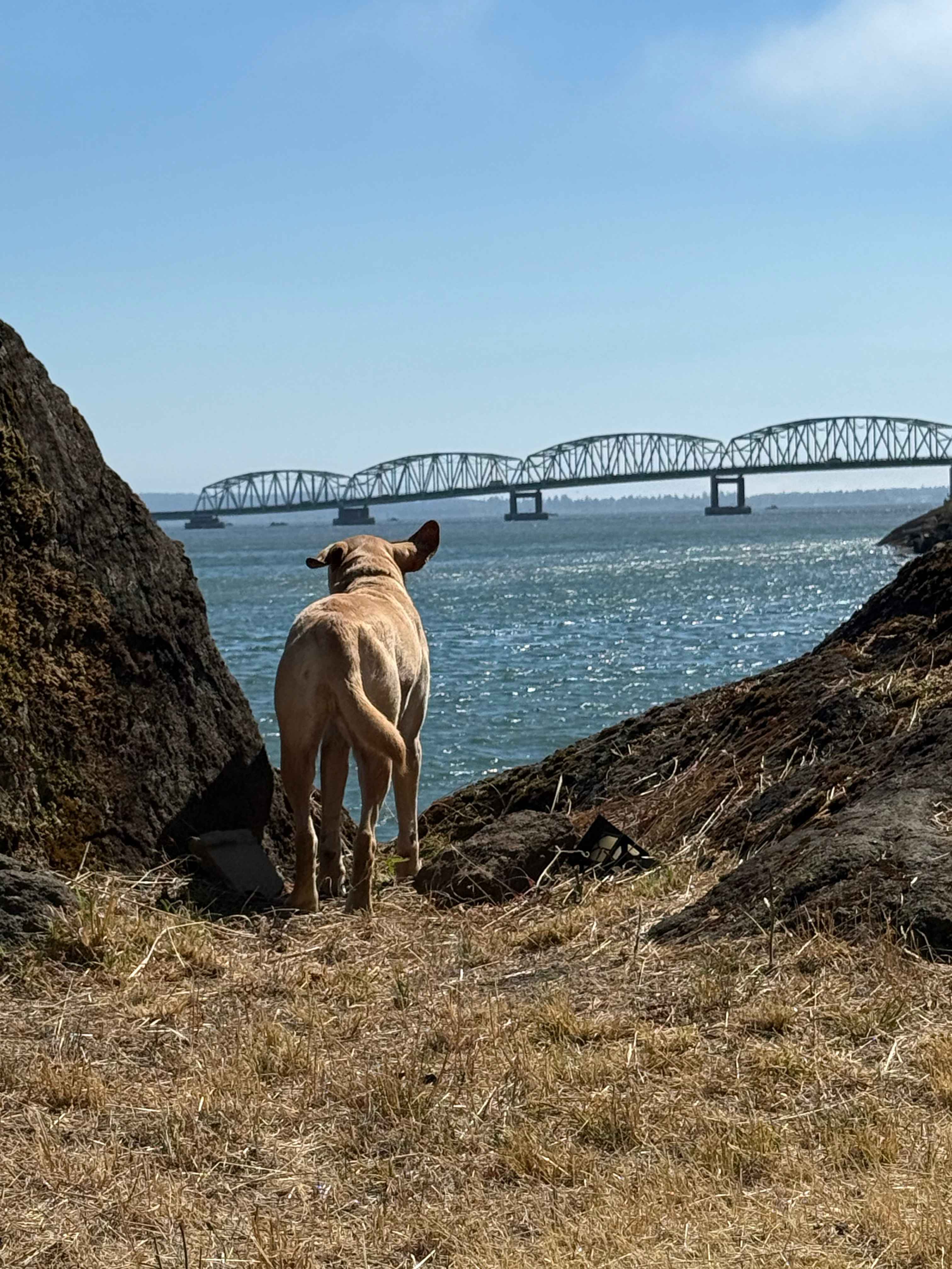 The Rock On The Columbia