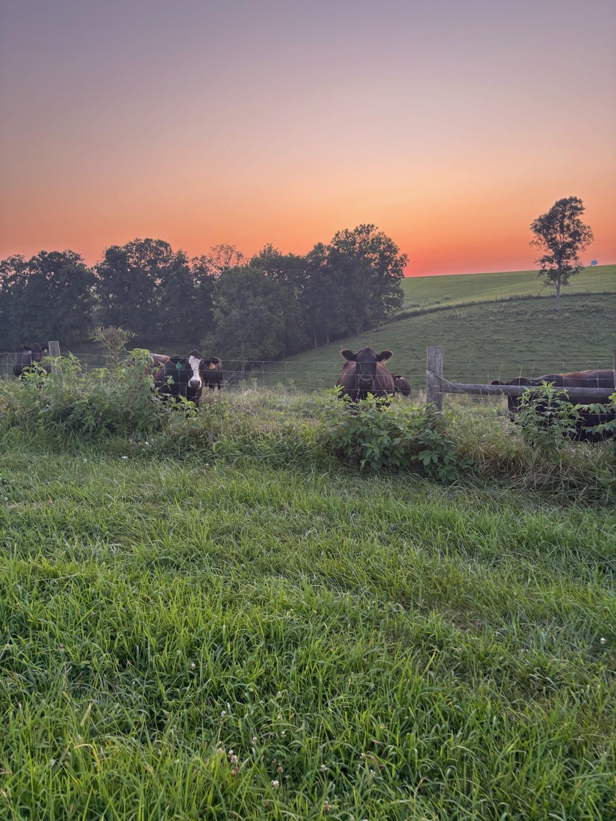 HAYMARK FARMSTAYS Private RV Sites