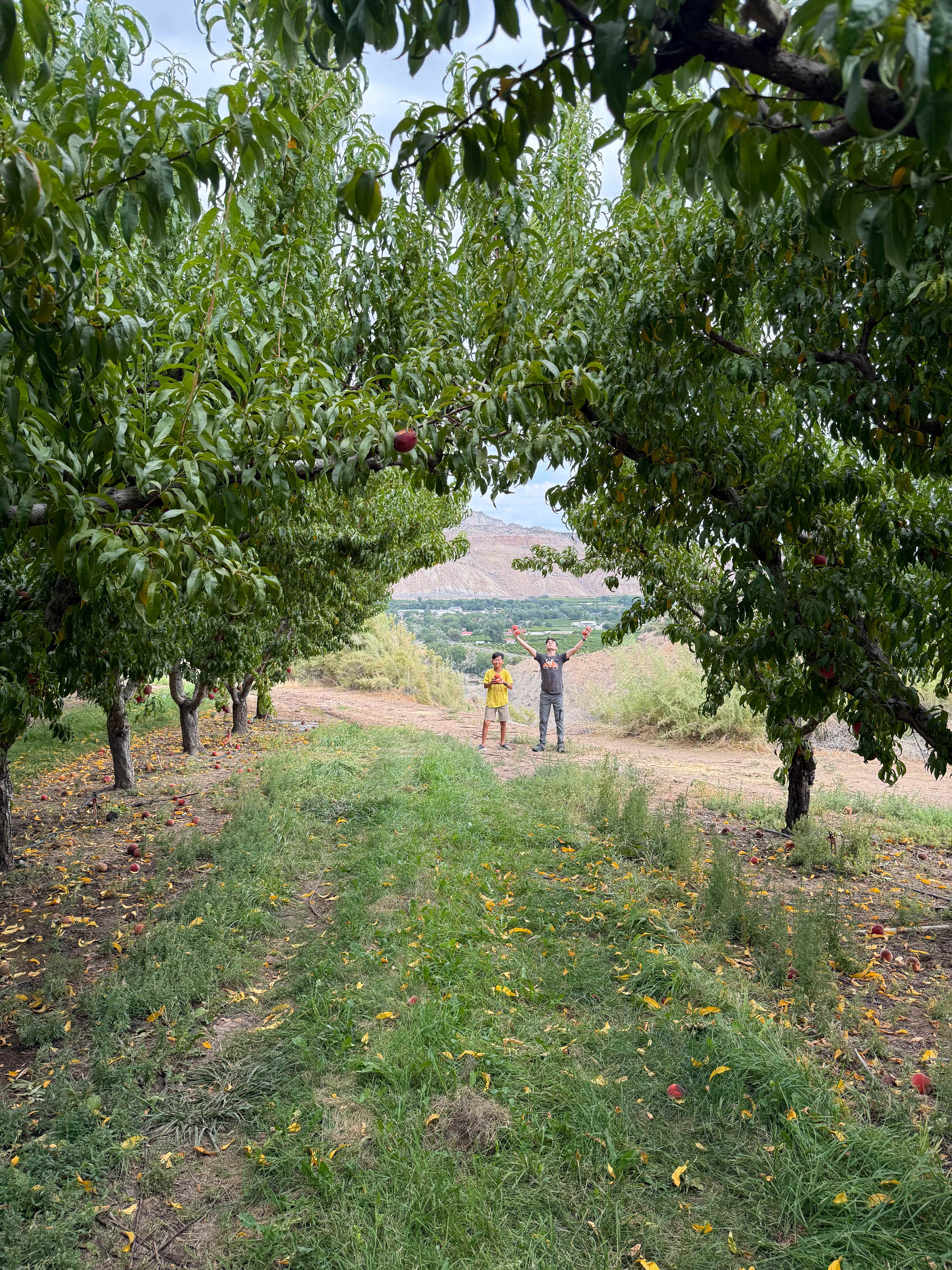 The Talbott’s orchard we got to visit (and enjoy!) 