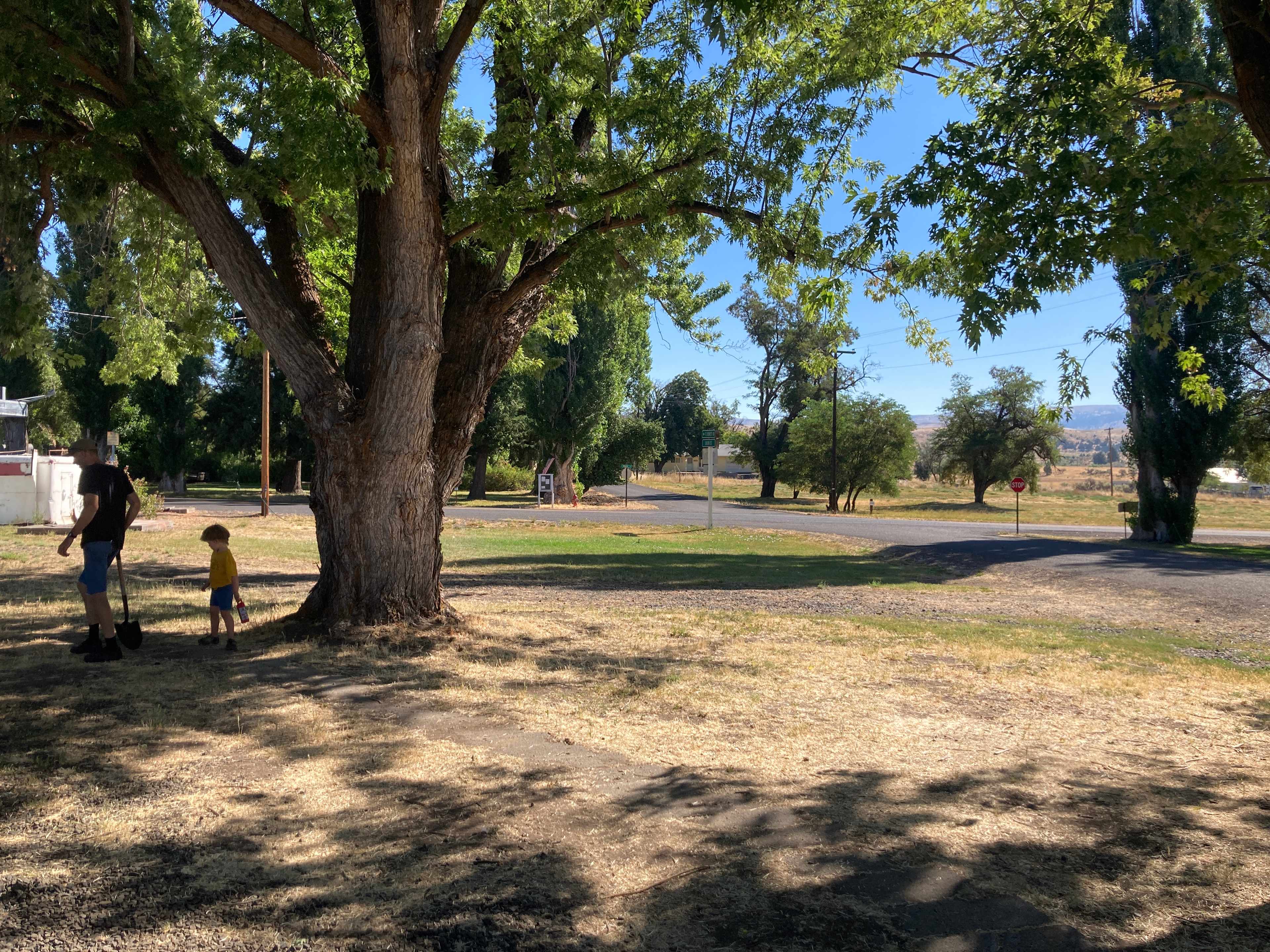 Across from the new building (not visible in the pic)