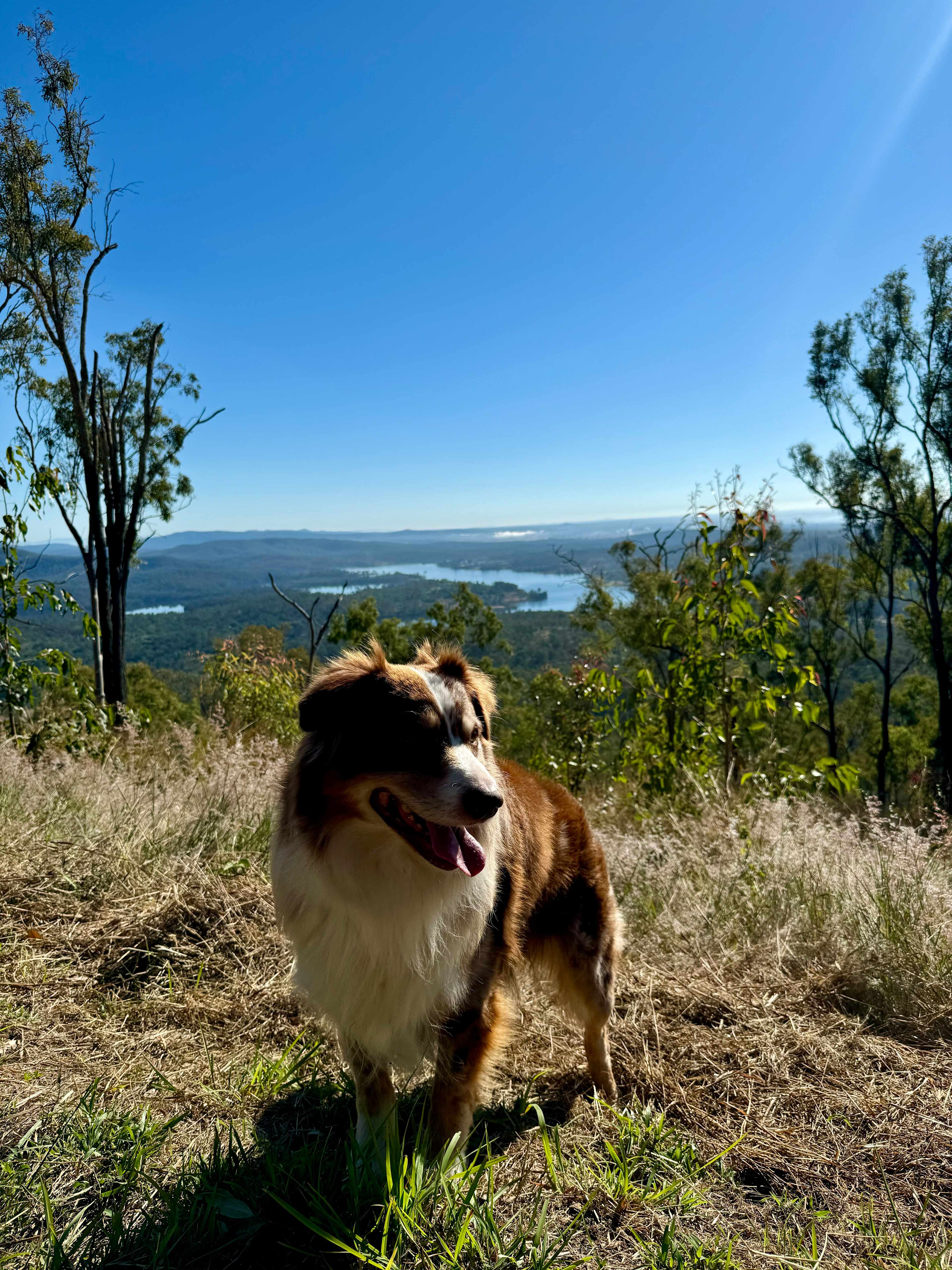 Juburra Country Camping