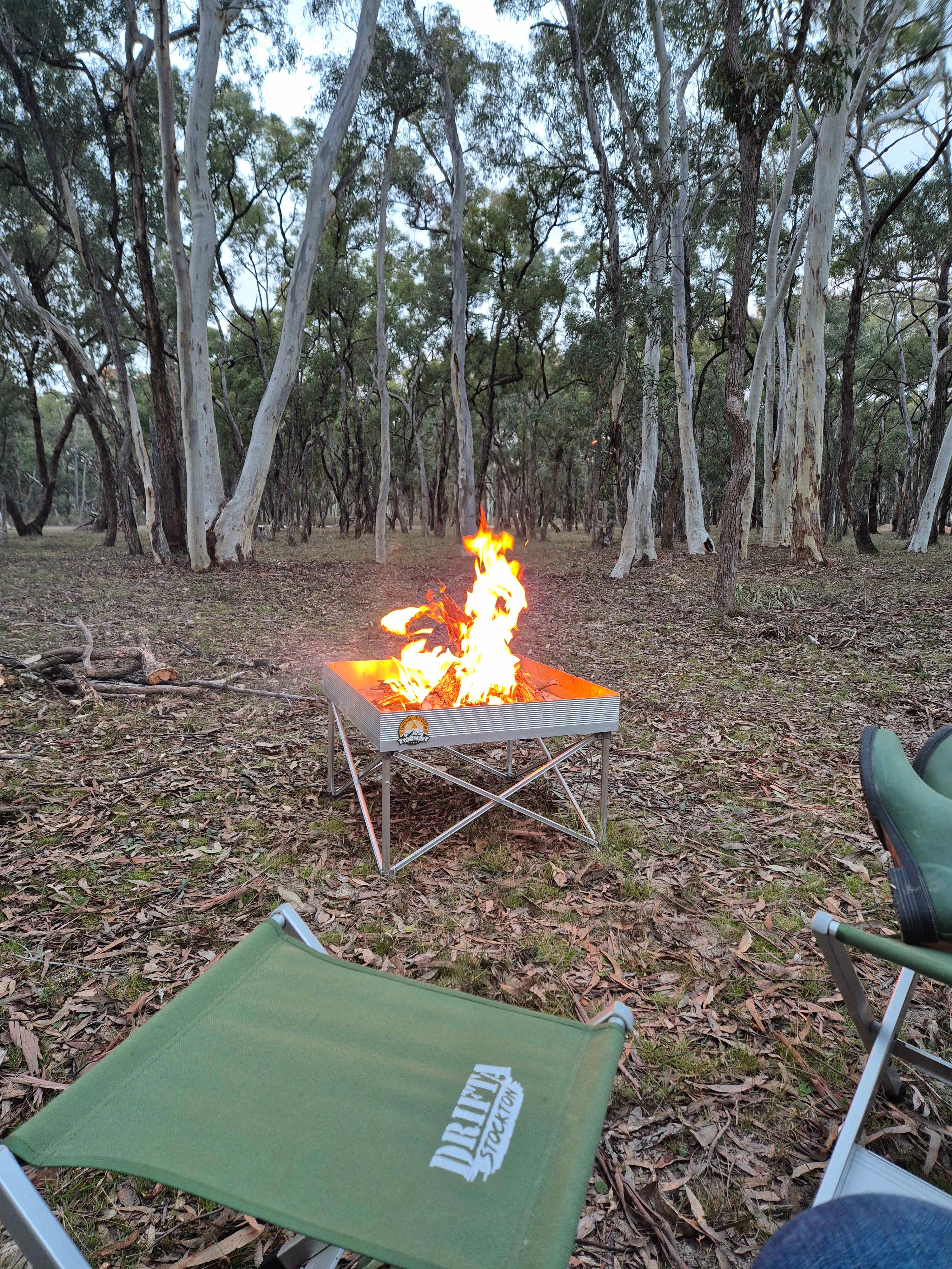 Crazy Critters Sanctuary