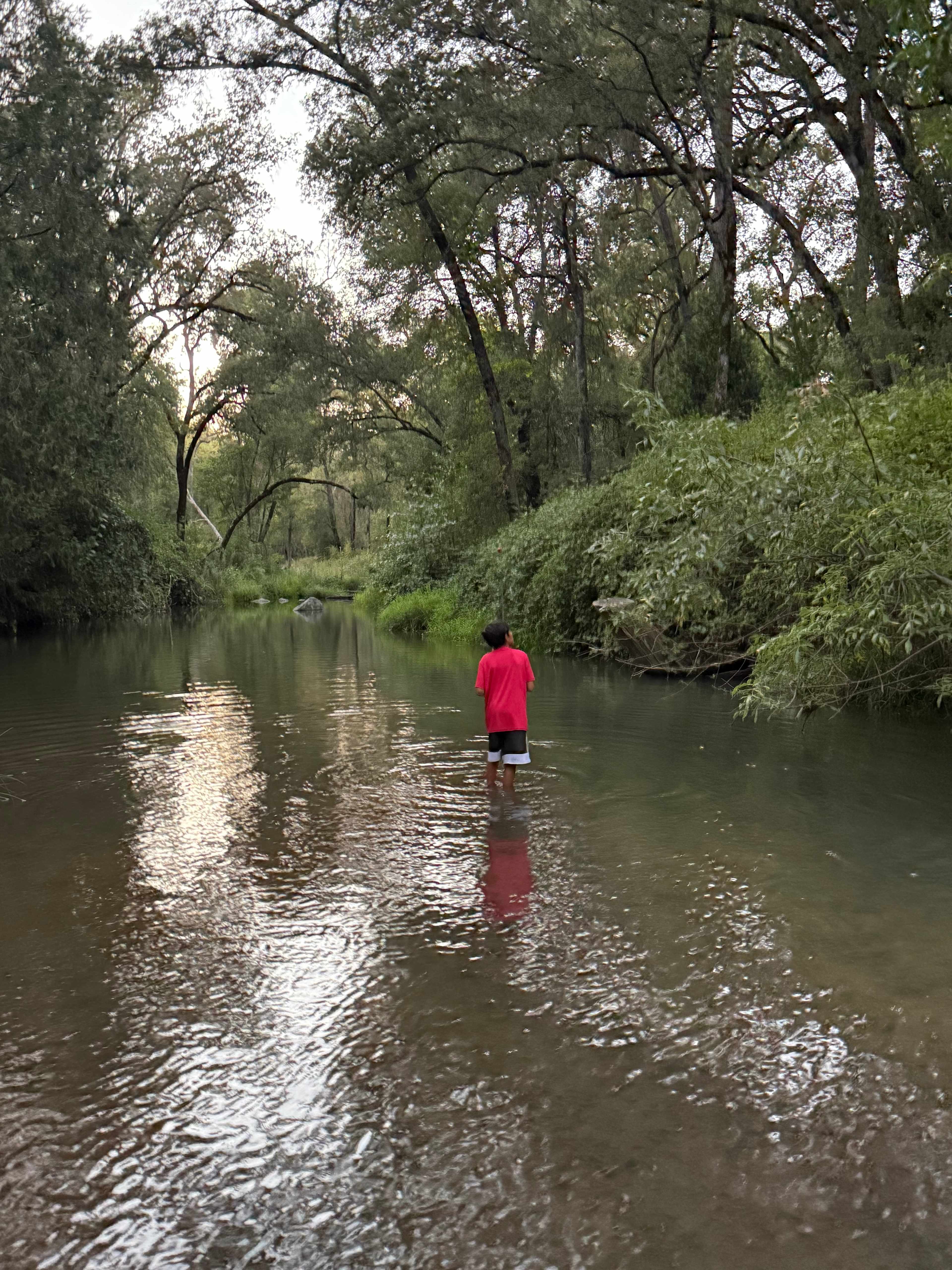 Camp Run Amuck Hollow