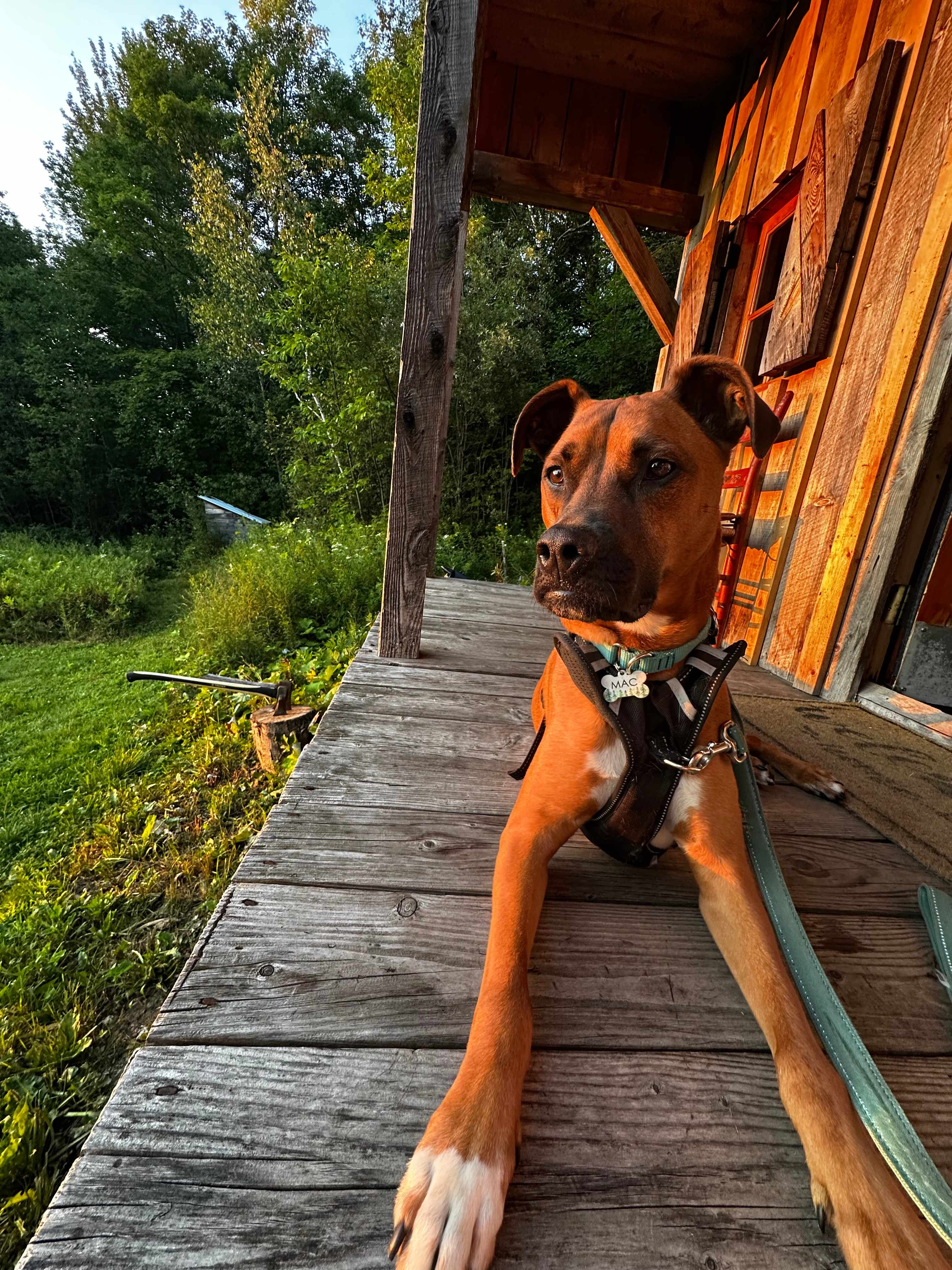 Vermont Rustic Retreat