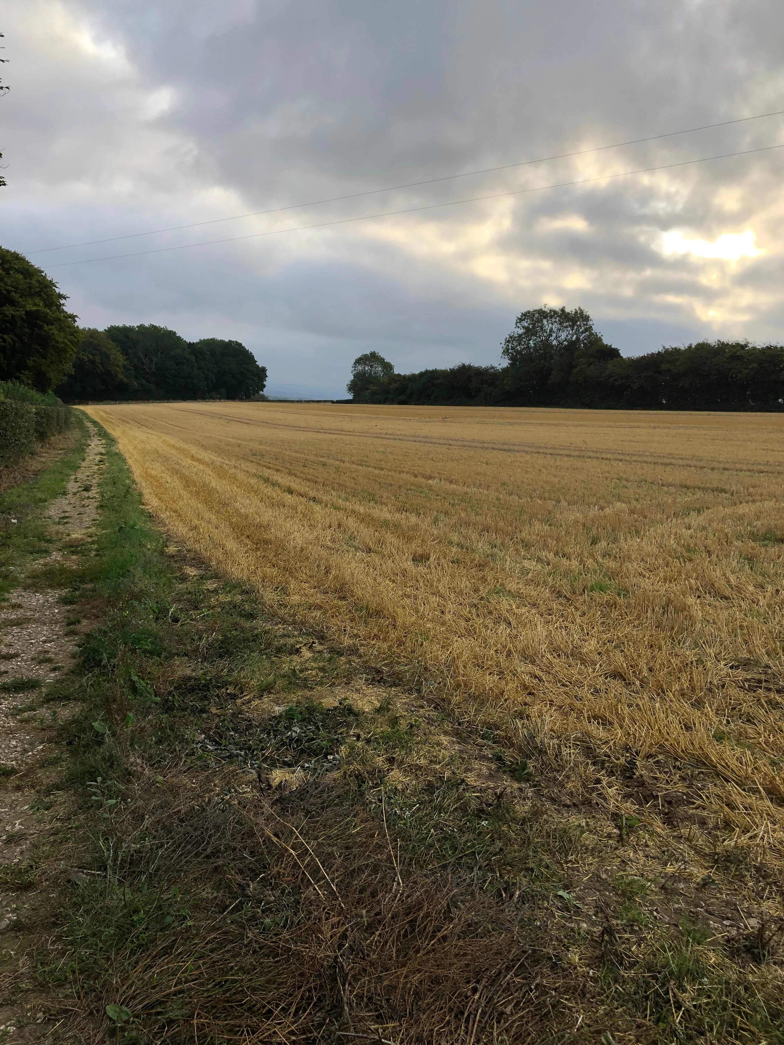 View from parking area towards cabin site- hidden from view