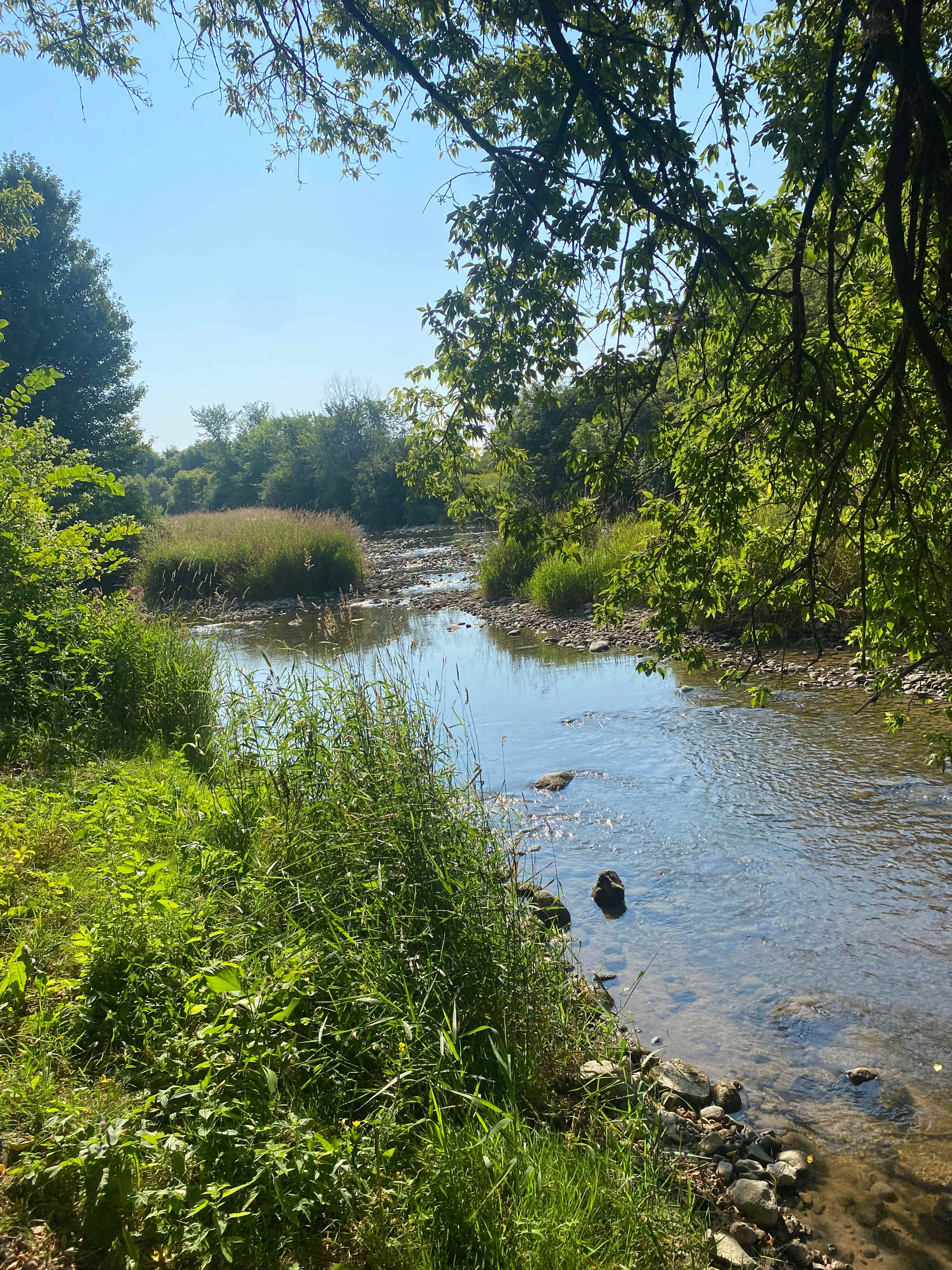 Maitland River Campground