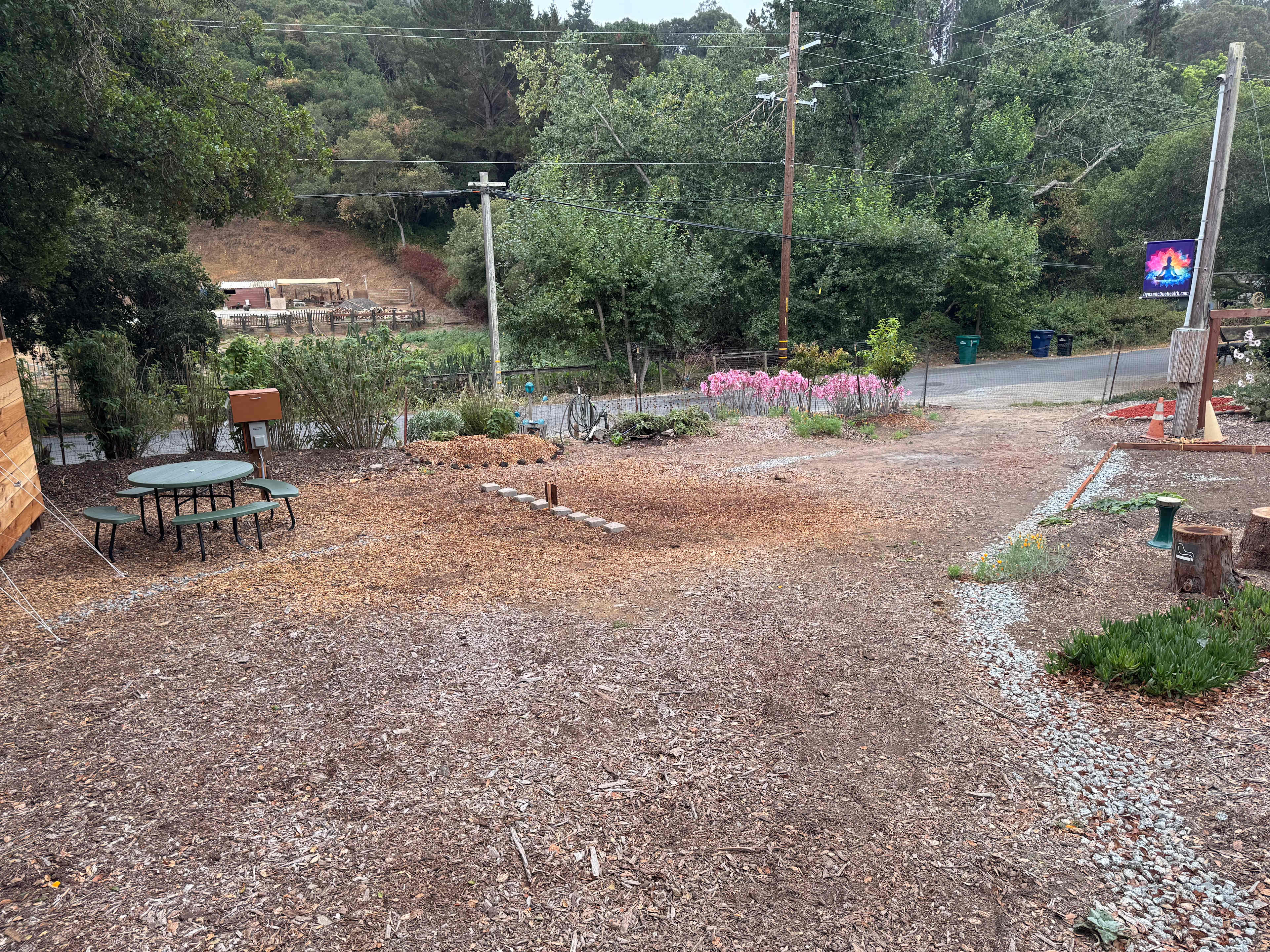 Vega Vortex-Gaia Health Retreat