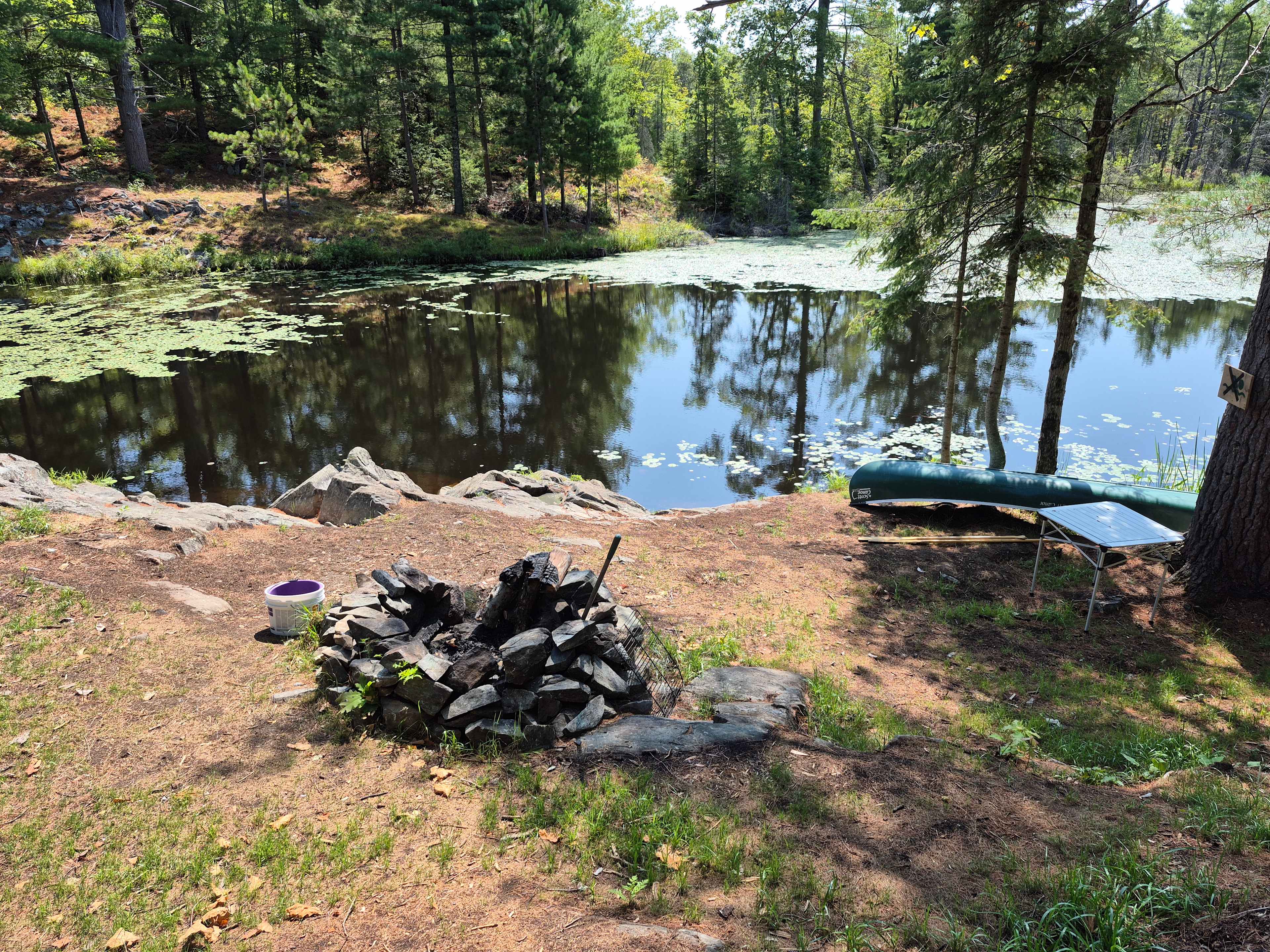 Picture of the site
