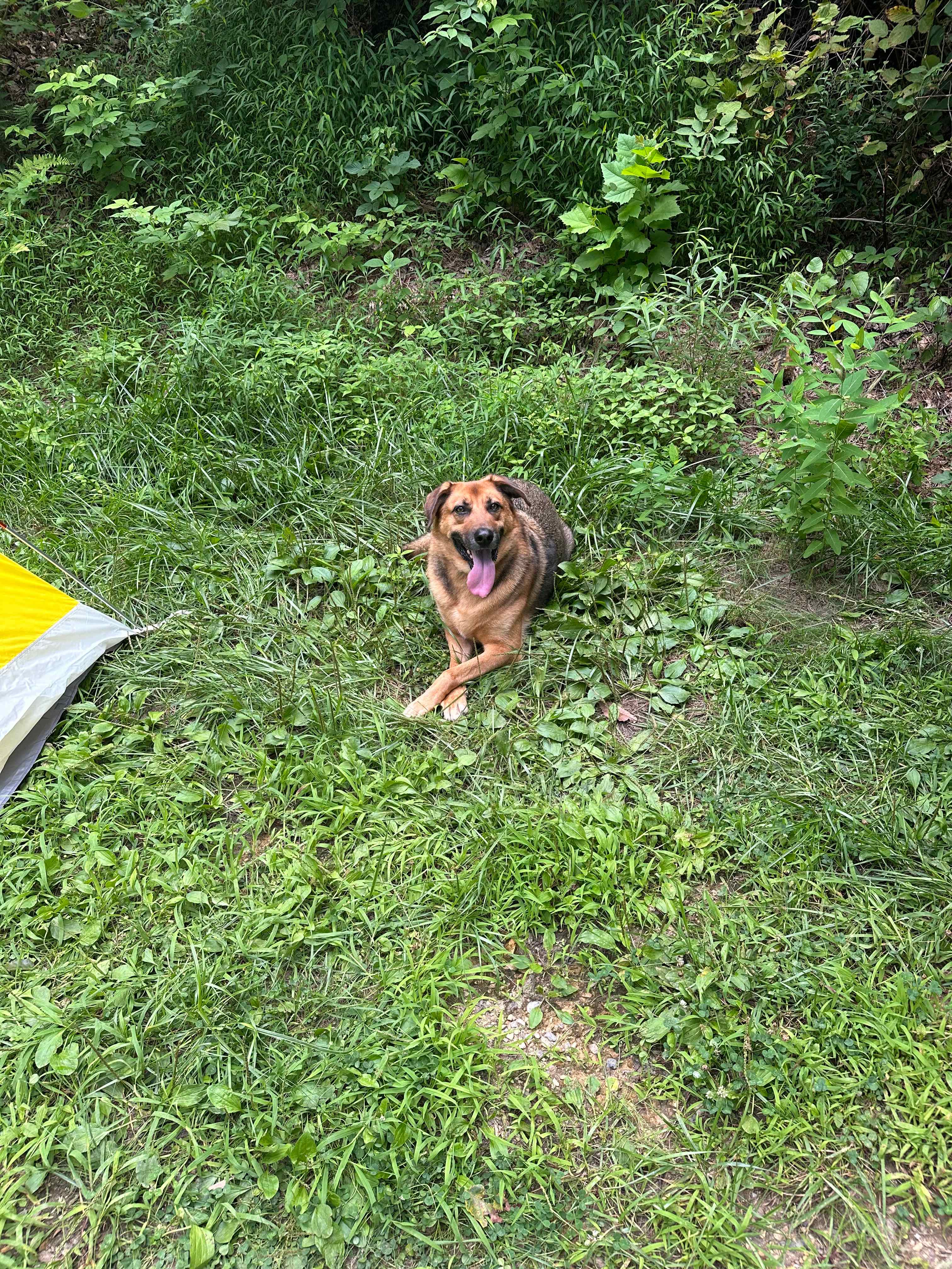 Shenandoah Valley MTN