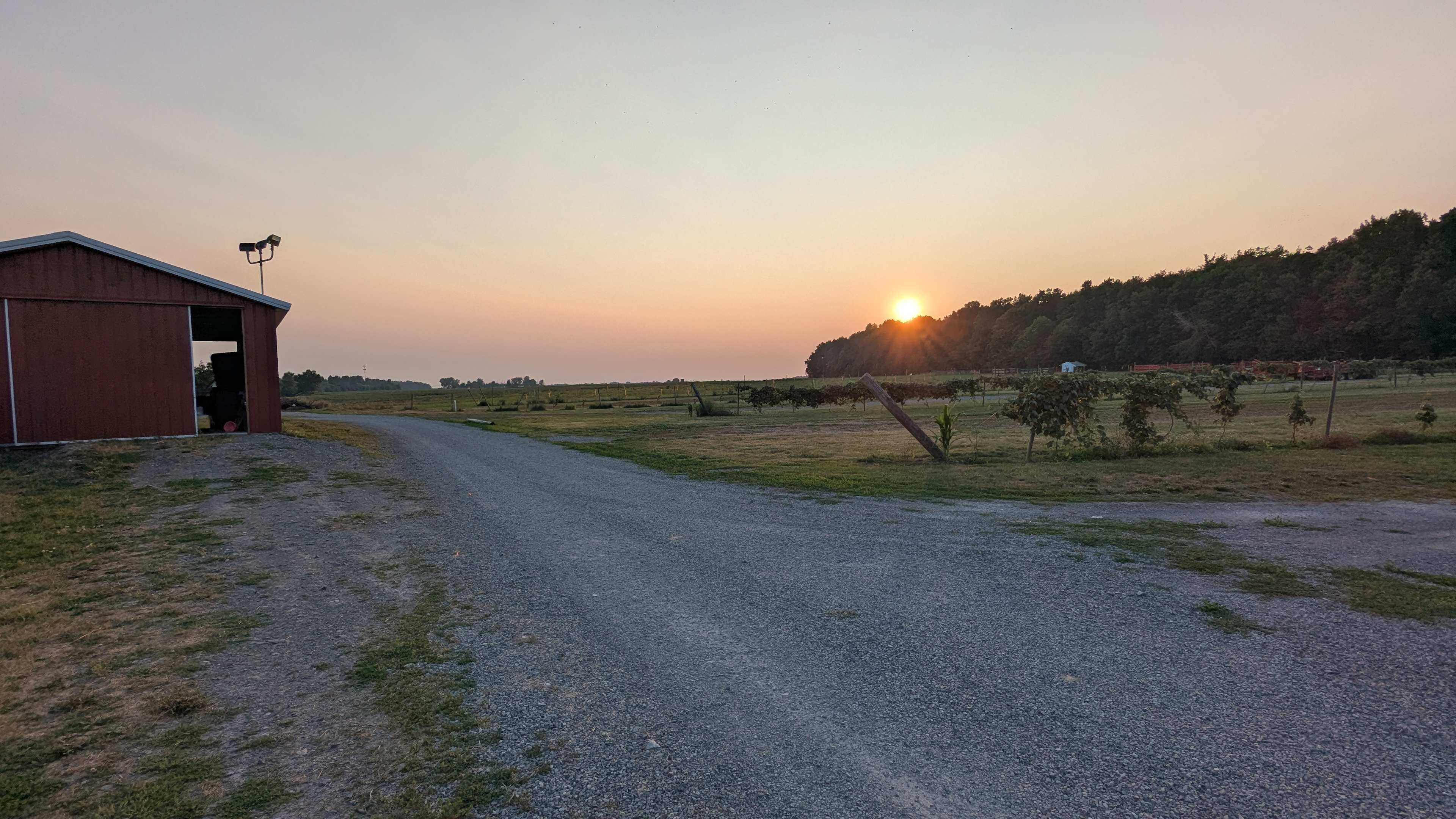 Sunset at the farm!
