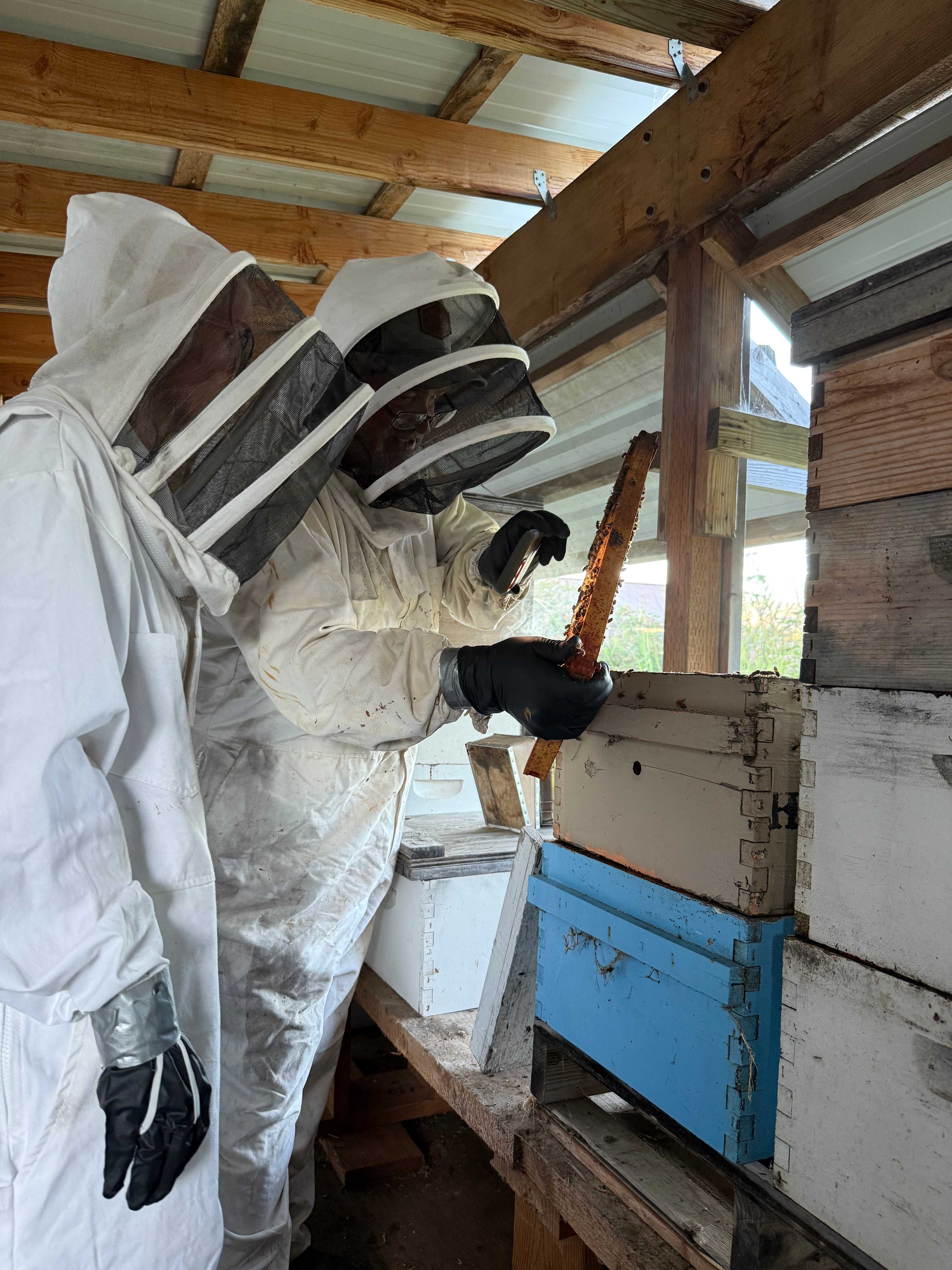 Misty Meadows Adventures Mt.Rainier