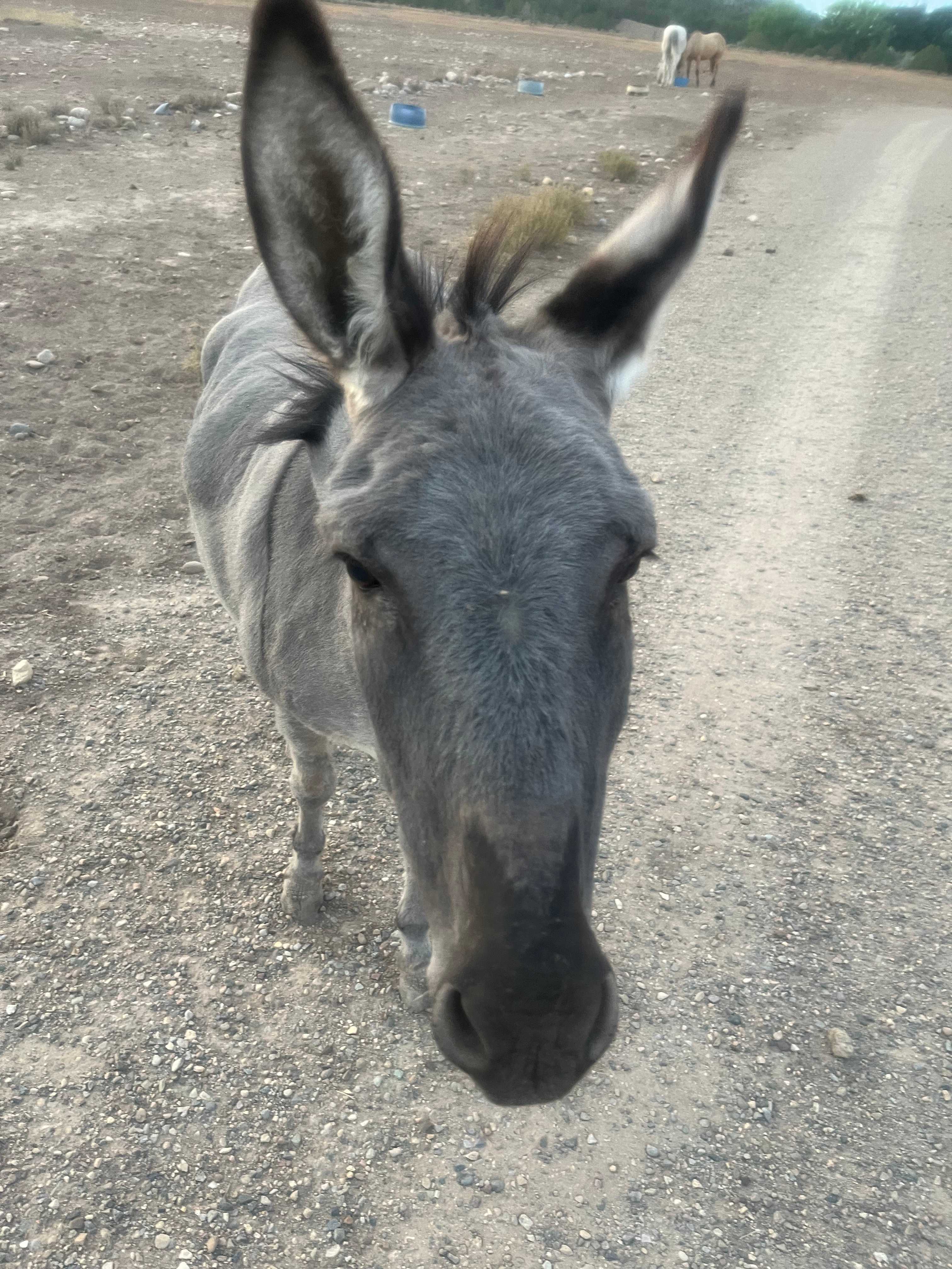 Linda M.’s Santa Rita Ranch