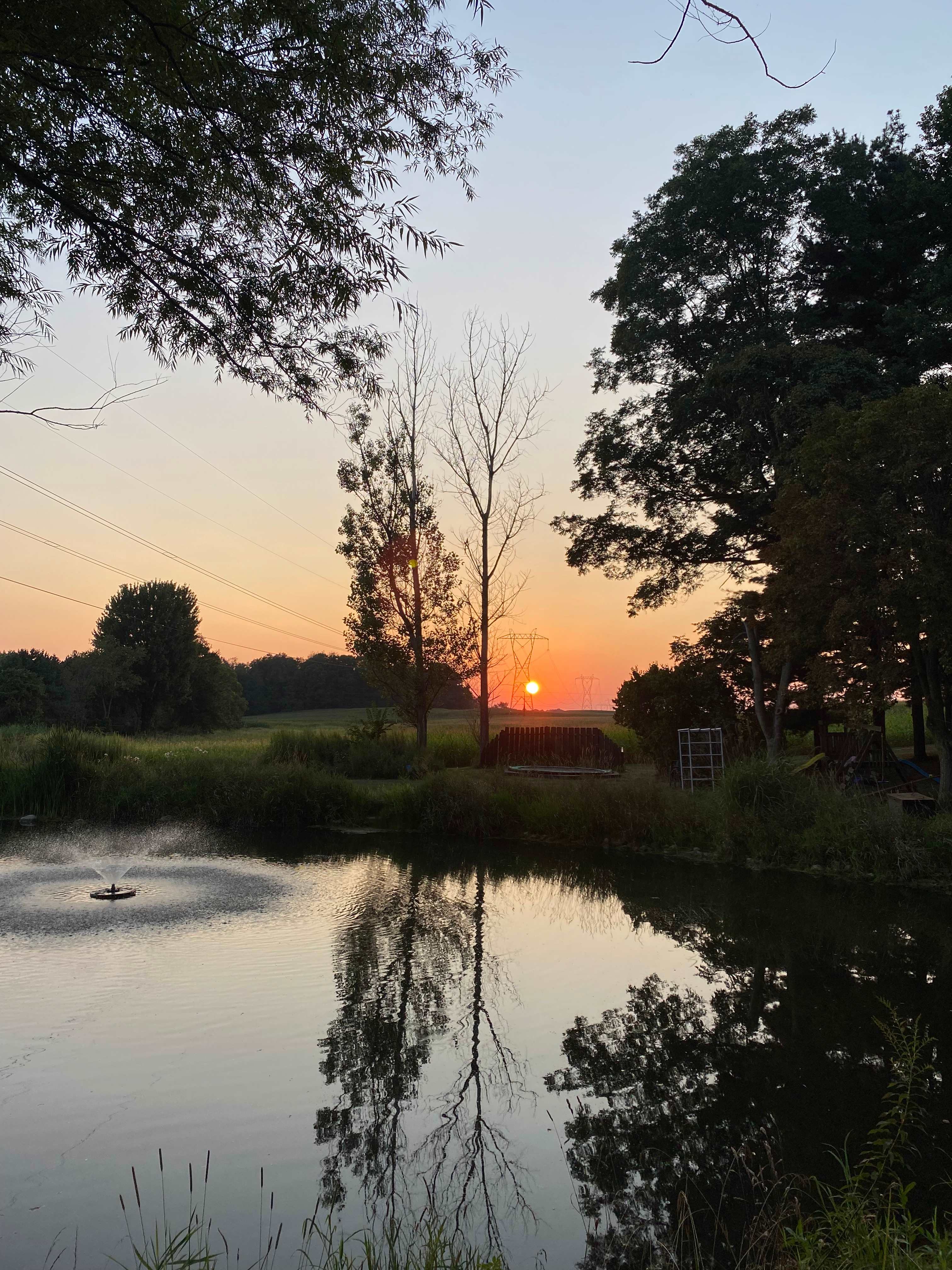 The Camp Cabin at the Hallstead
