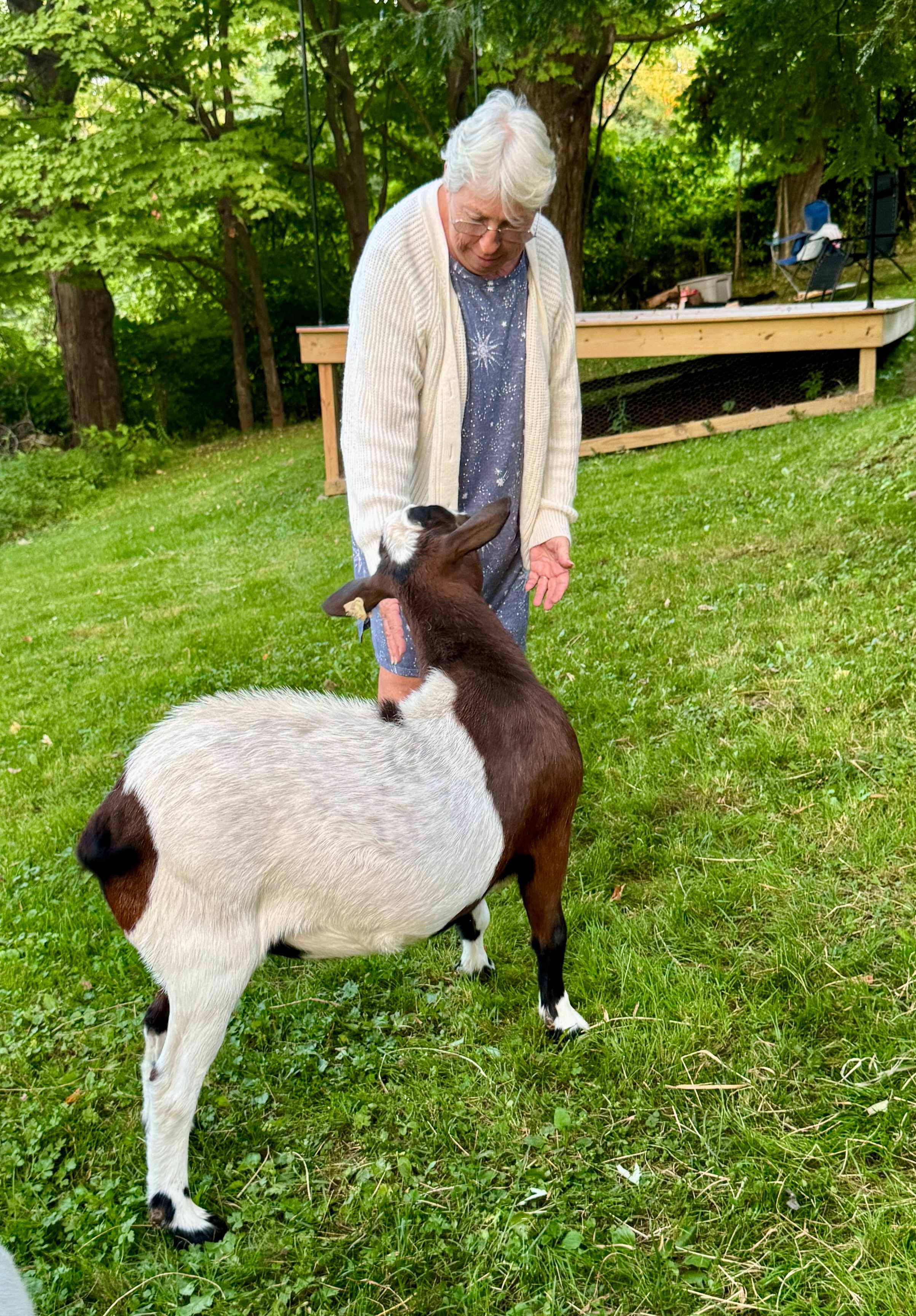 Camping with Goats - Park your RV