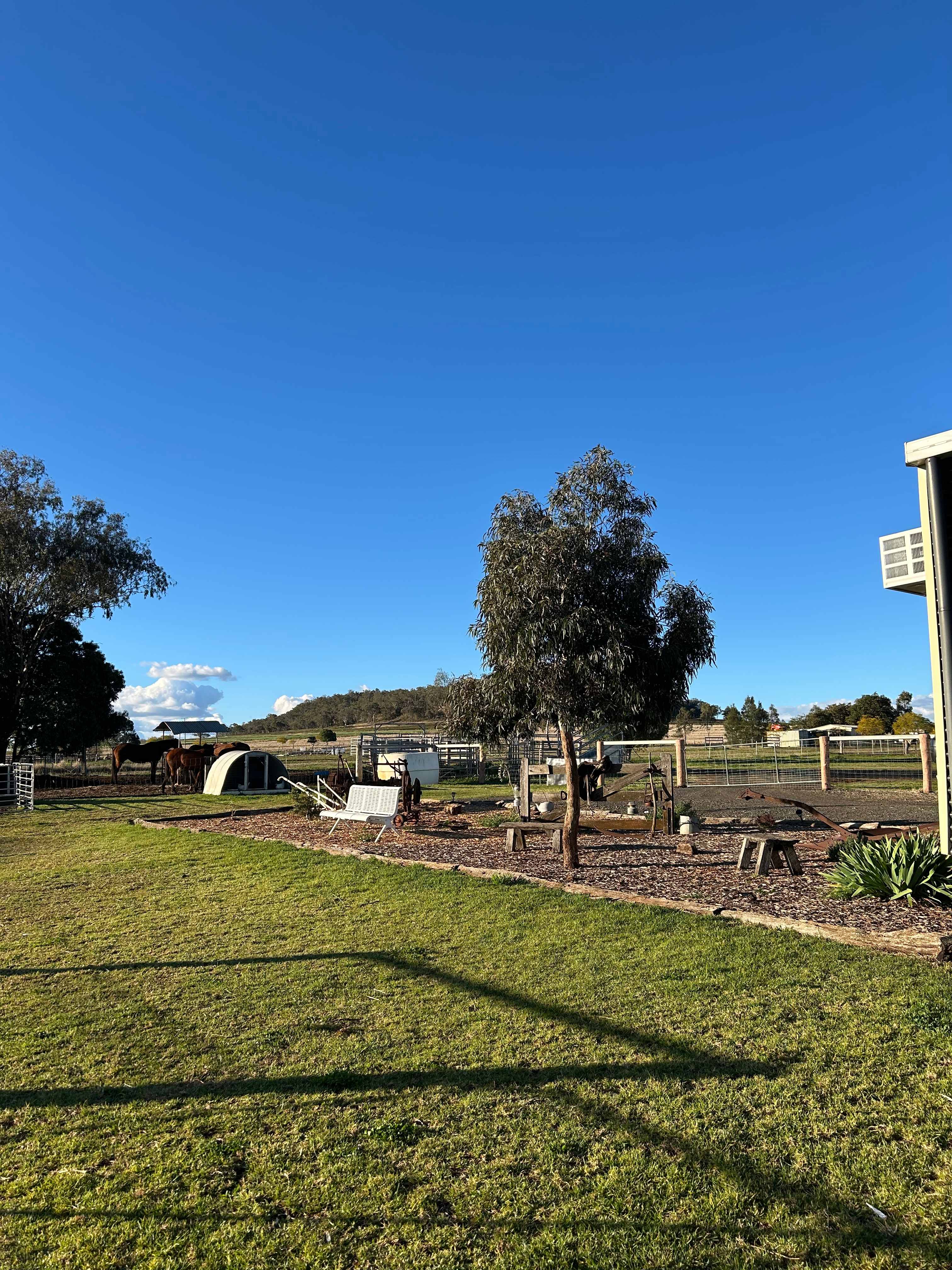 Duchess Farm (Cabin + Tents/Vans)