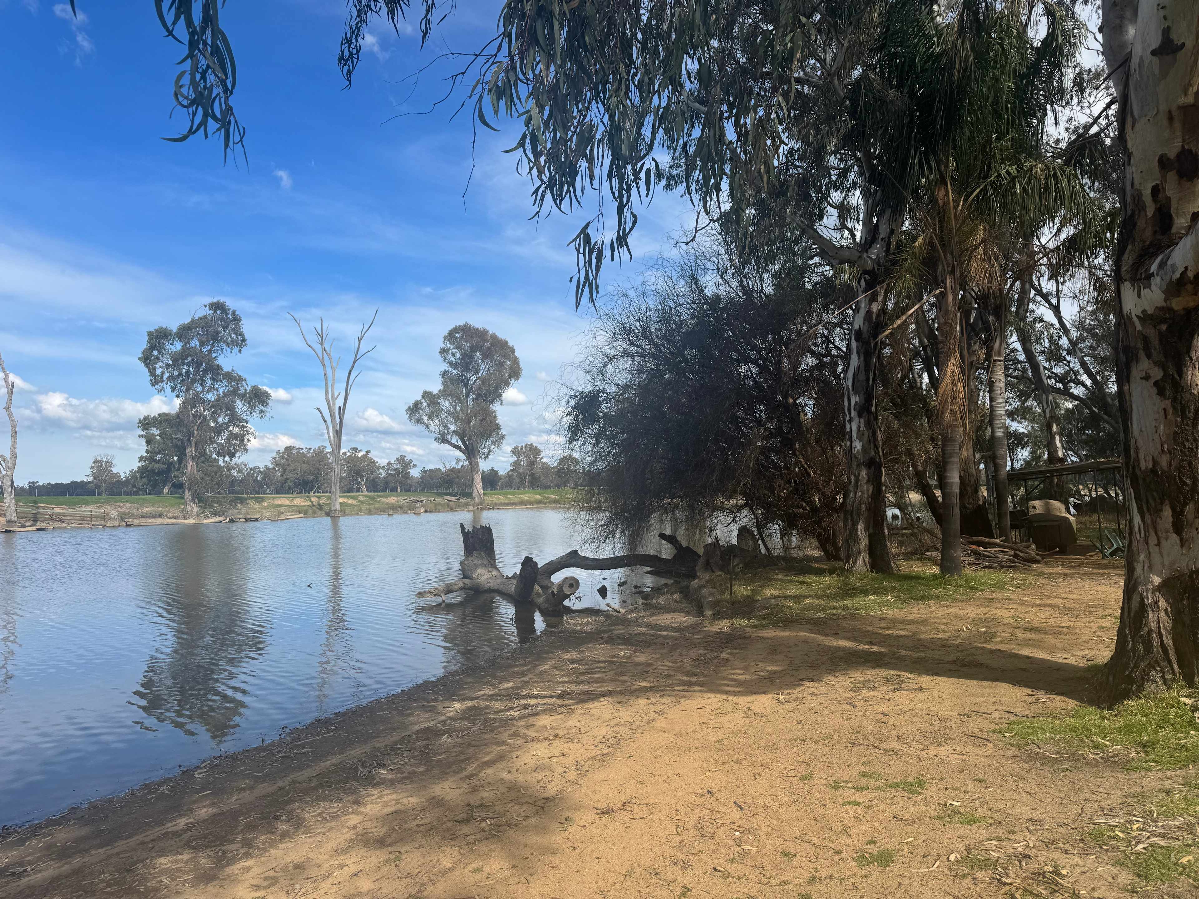 Cudgella on Bundidgerry Creek