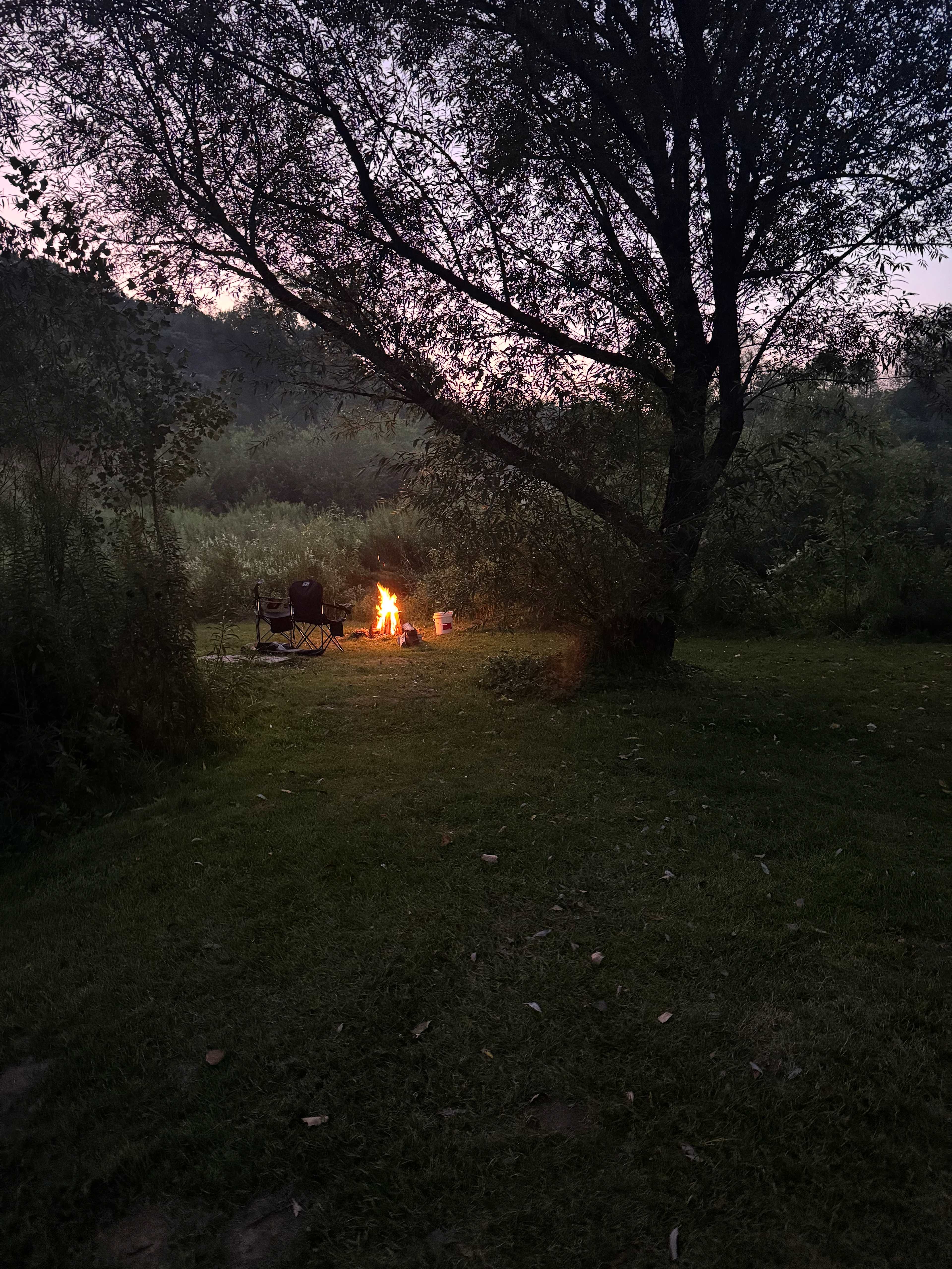 🦫 Flutterby 🦋 Farm 👩🏽‍🌾