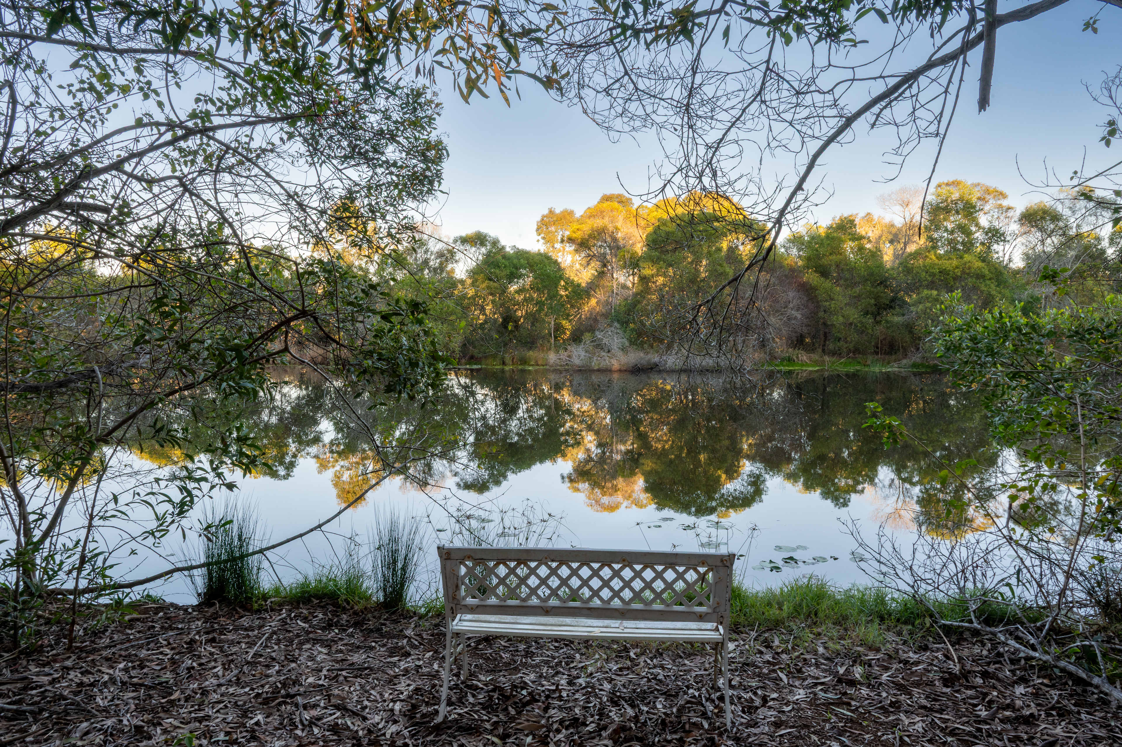 Childers,  Creekside Campsite.