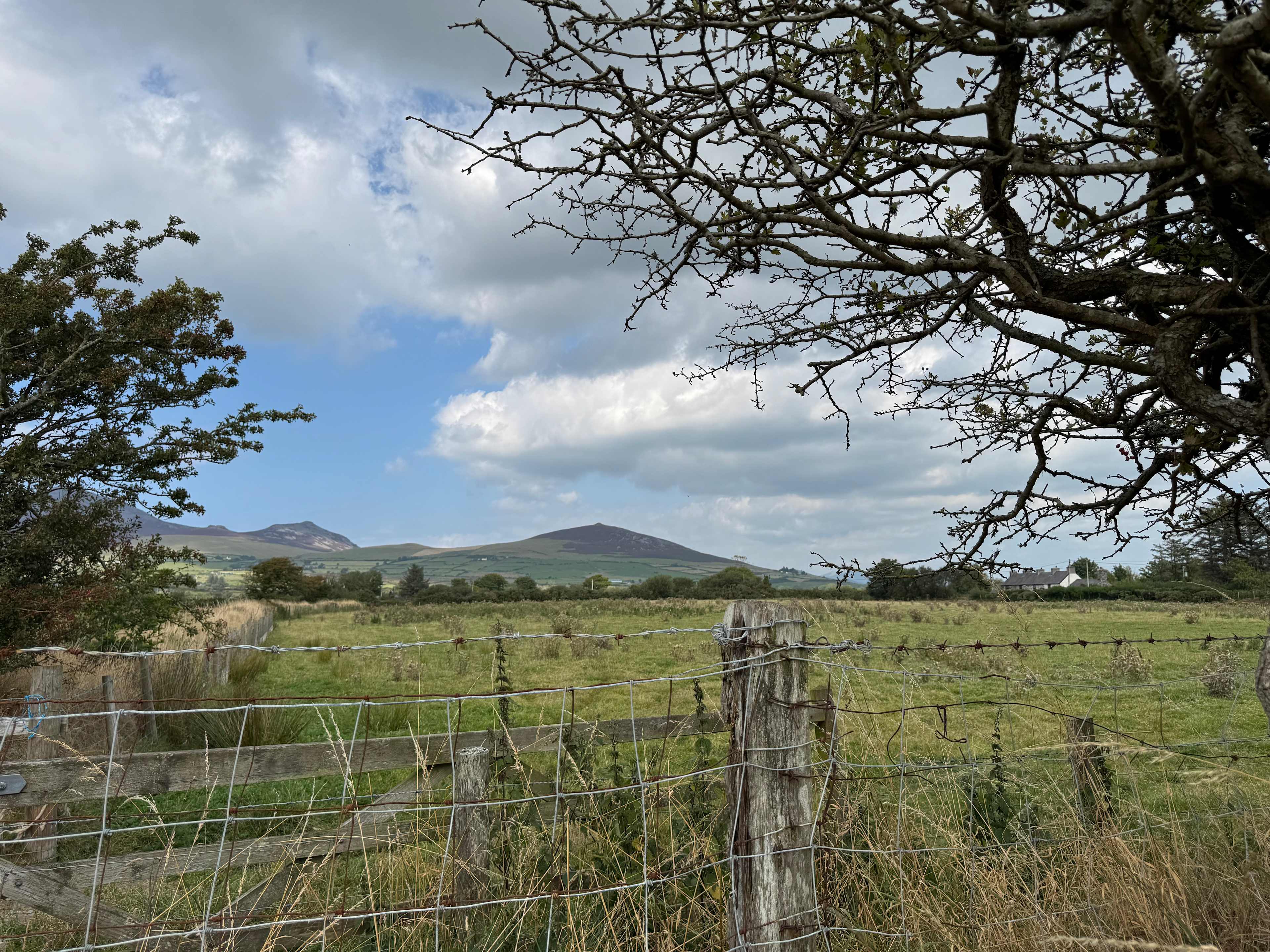 Tyn on The Llyn Campsite
