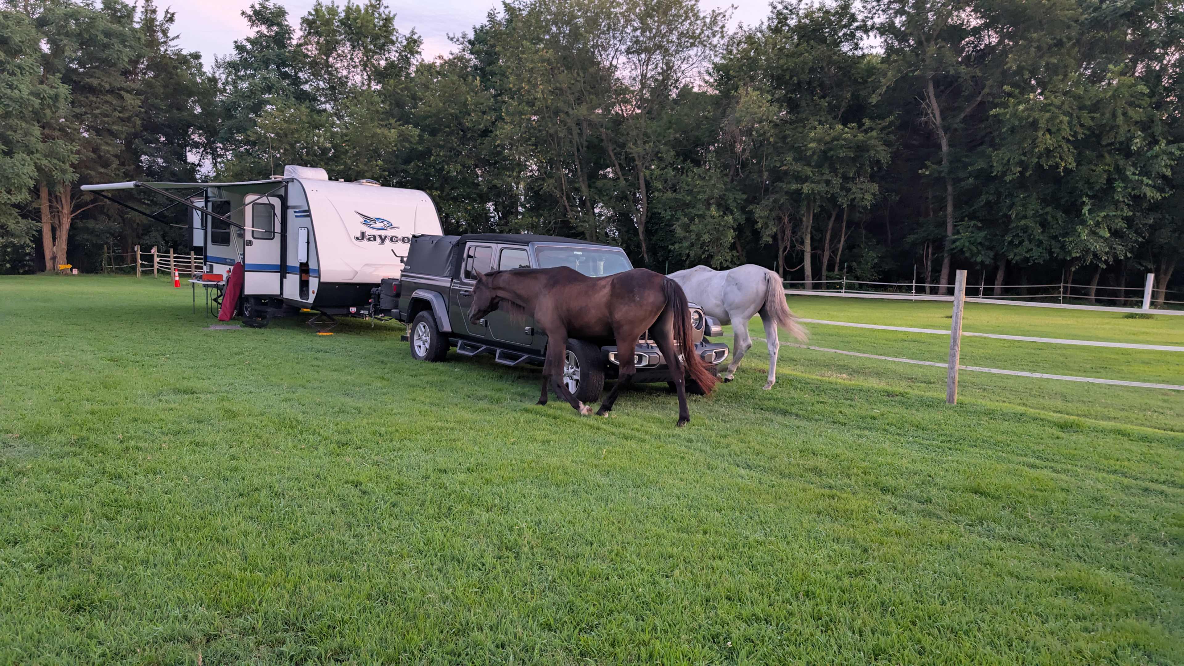 Countryside Horse Farm