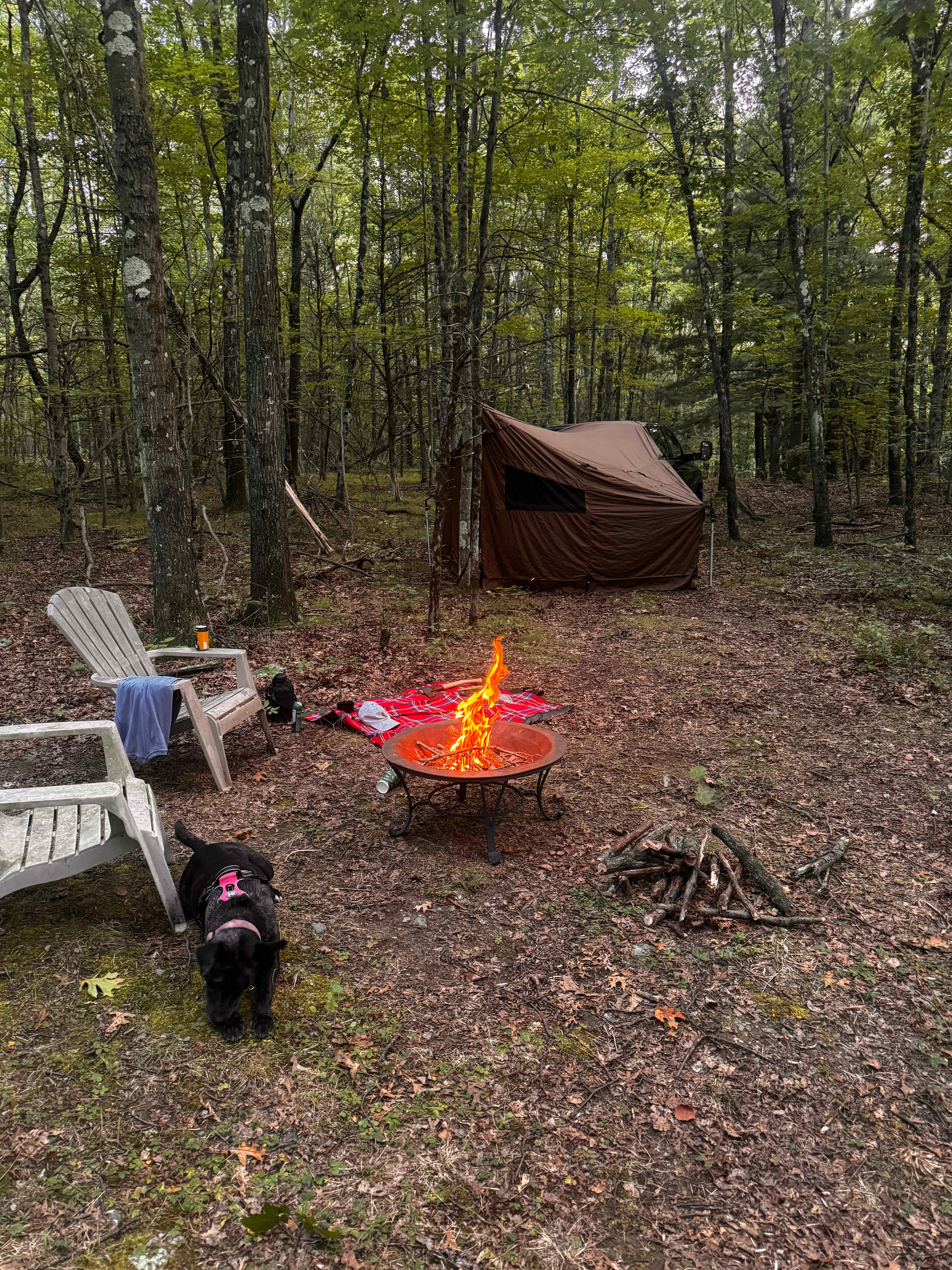 Issac’s Endless Acres