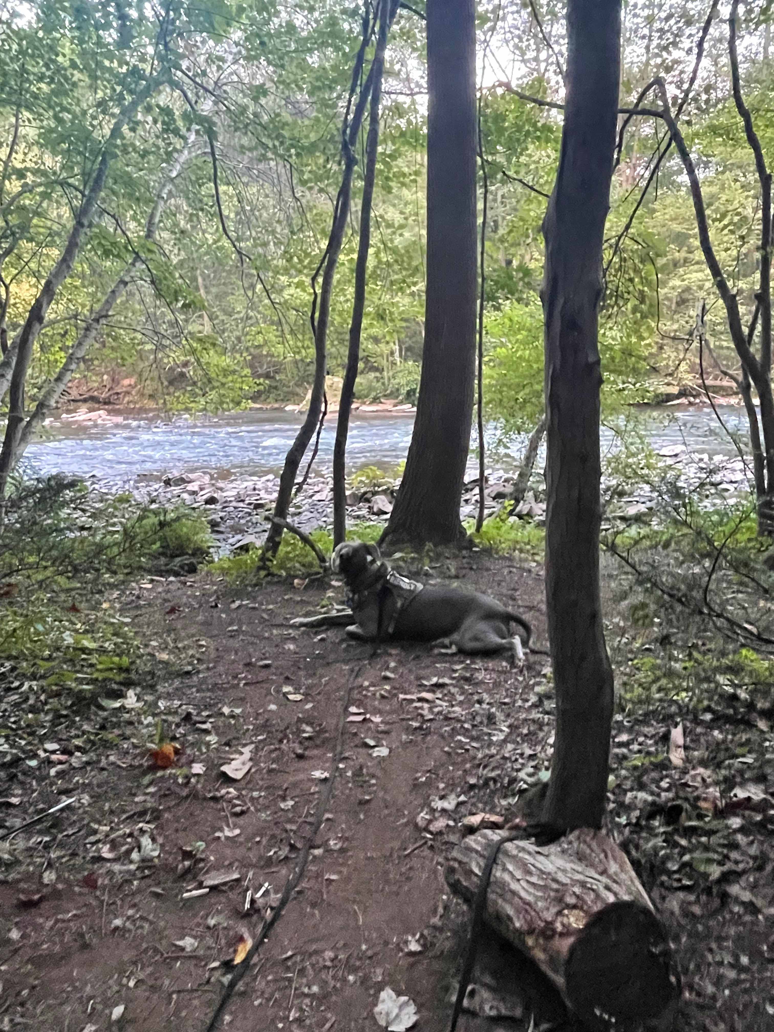 Little Mahanoy Creek Campground