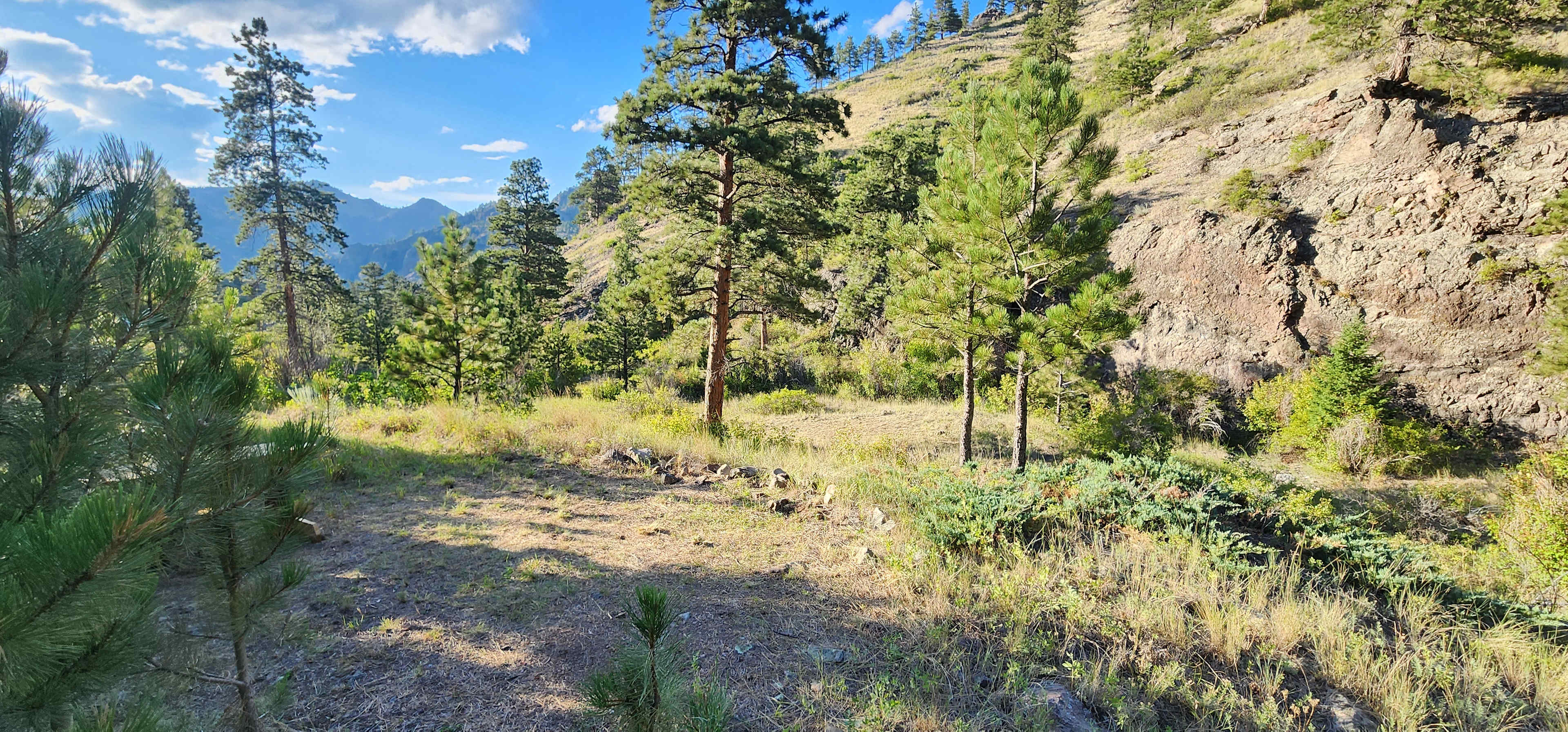 Campsite in foreground with outdoor table, secondary clearing down below. Seasonal/dry creek runs along the right 