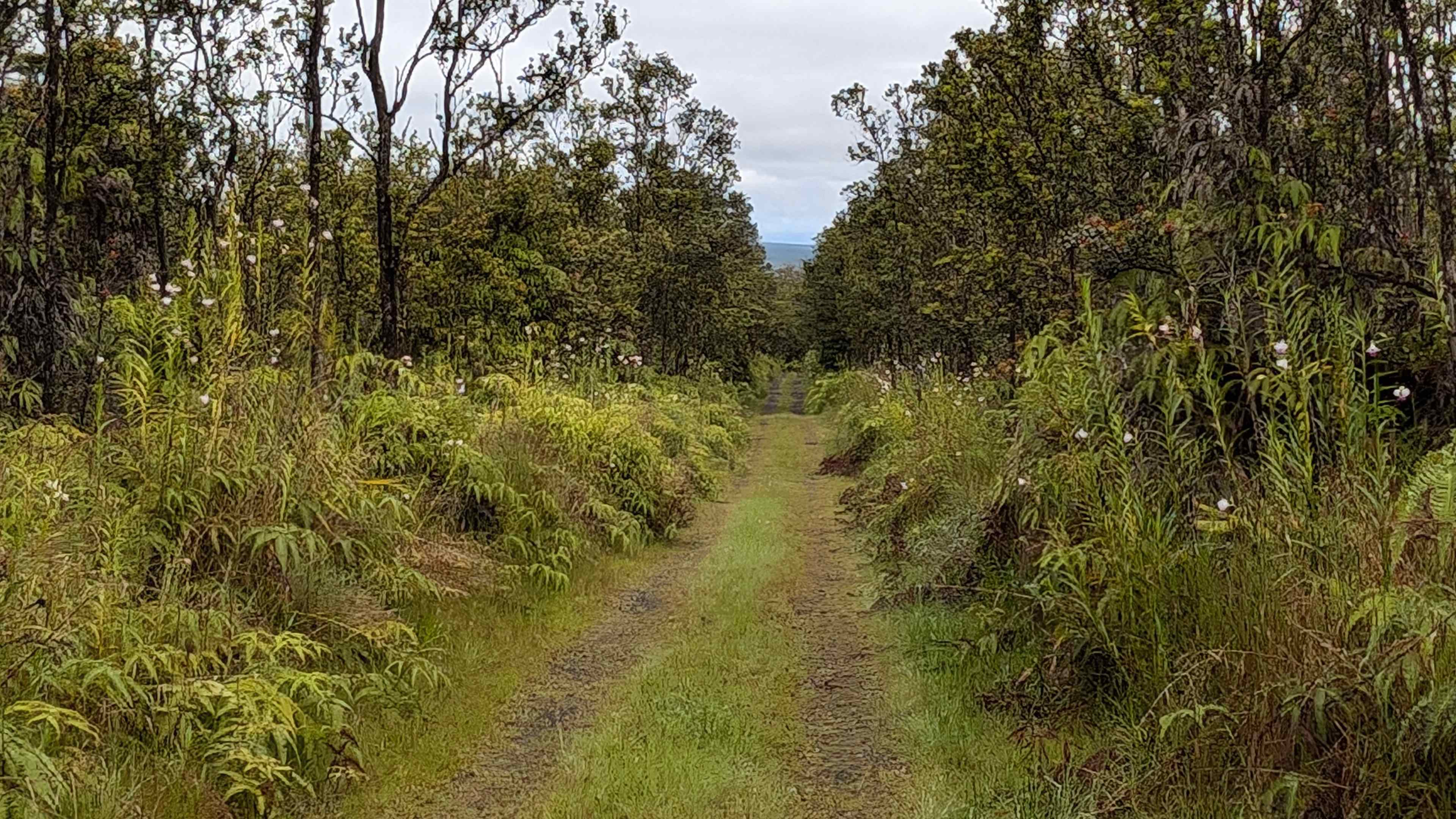 Nice area to walk near house 