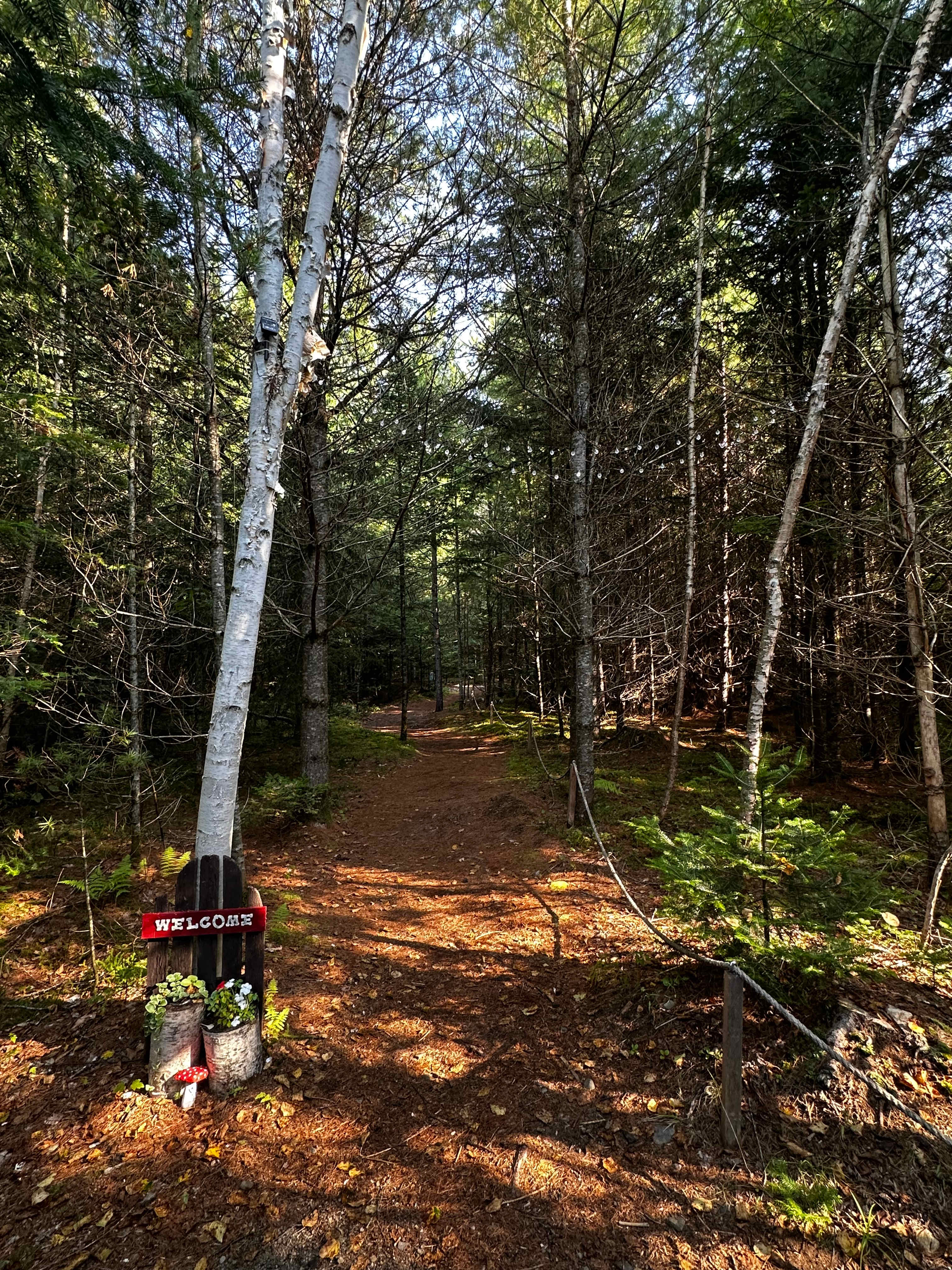 The Pines Lakeside Canoe & Camping