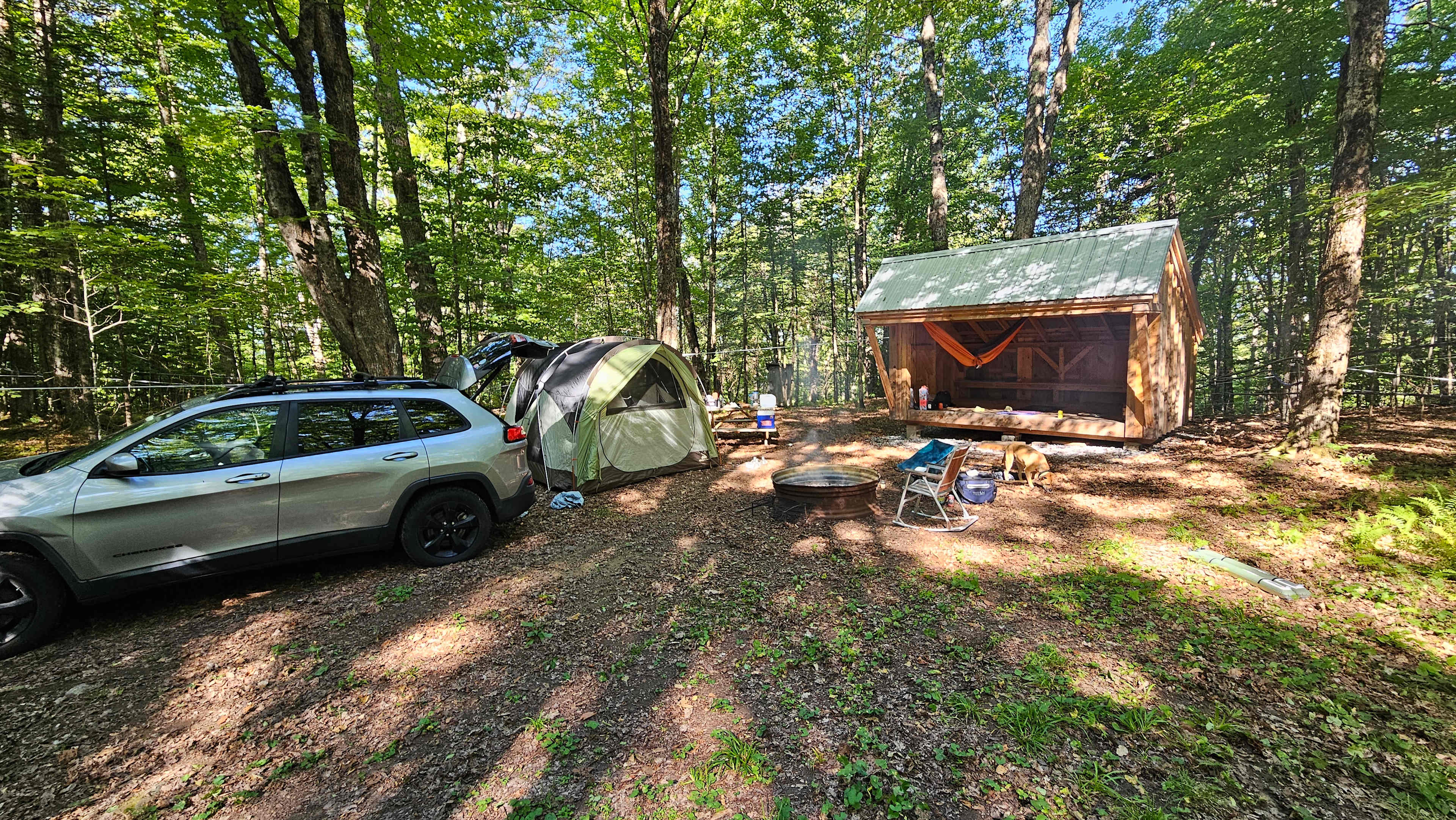 Maple Hollow Shelter