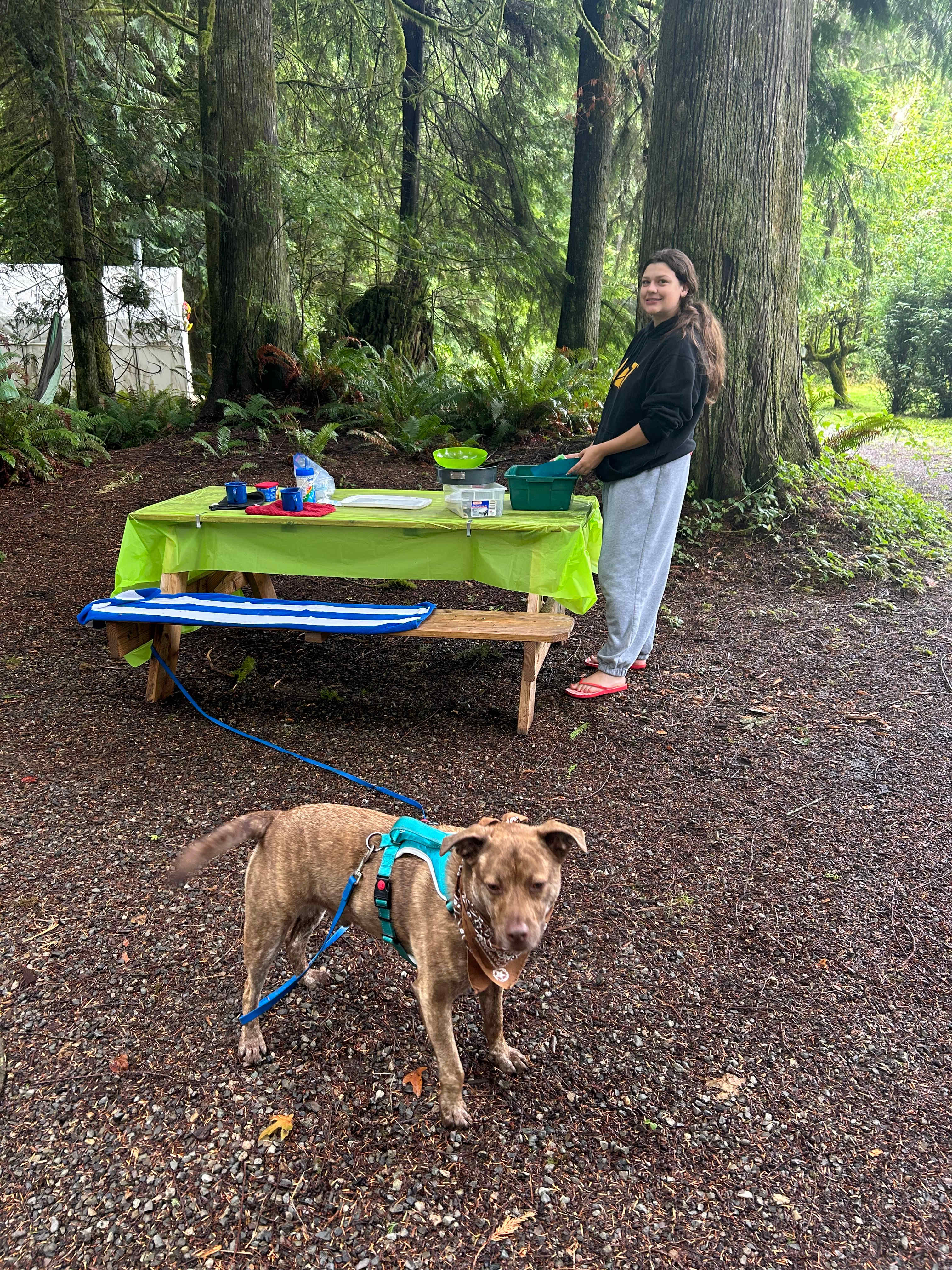 The Landing At Lake Ploenta