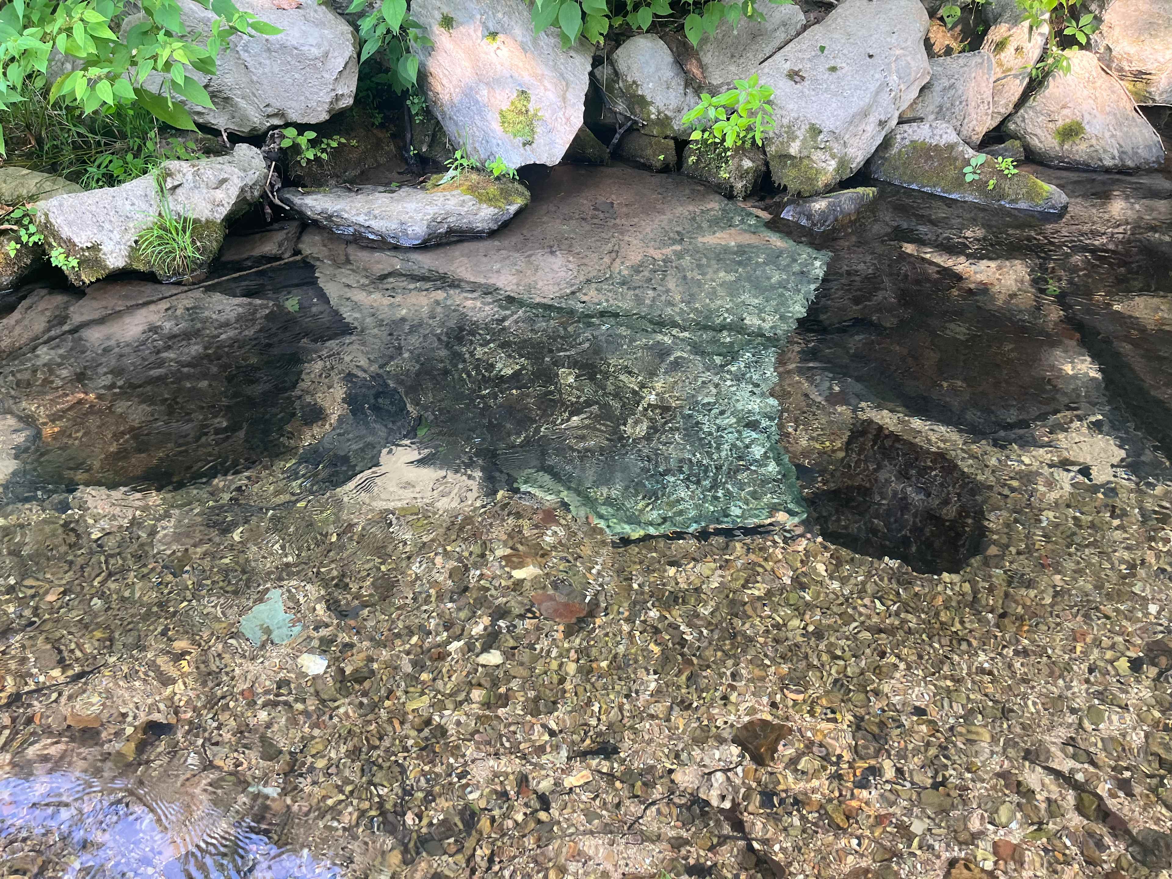 Super clear and cold creek