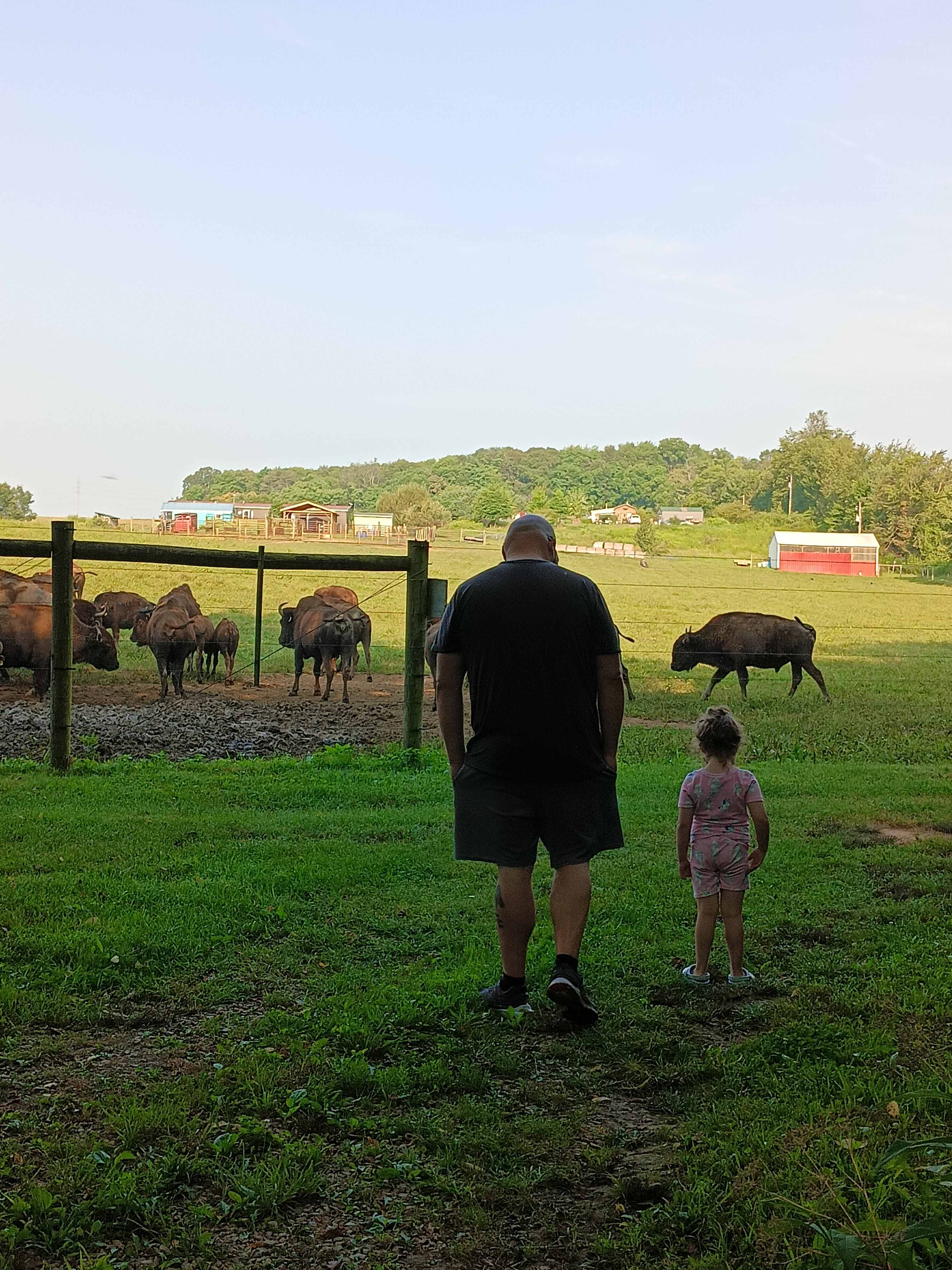 Cherokee Valley Bison Ranch Creekside Retreat