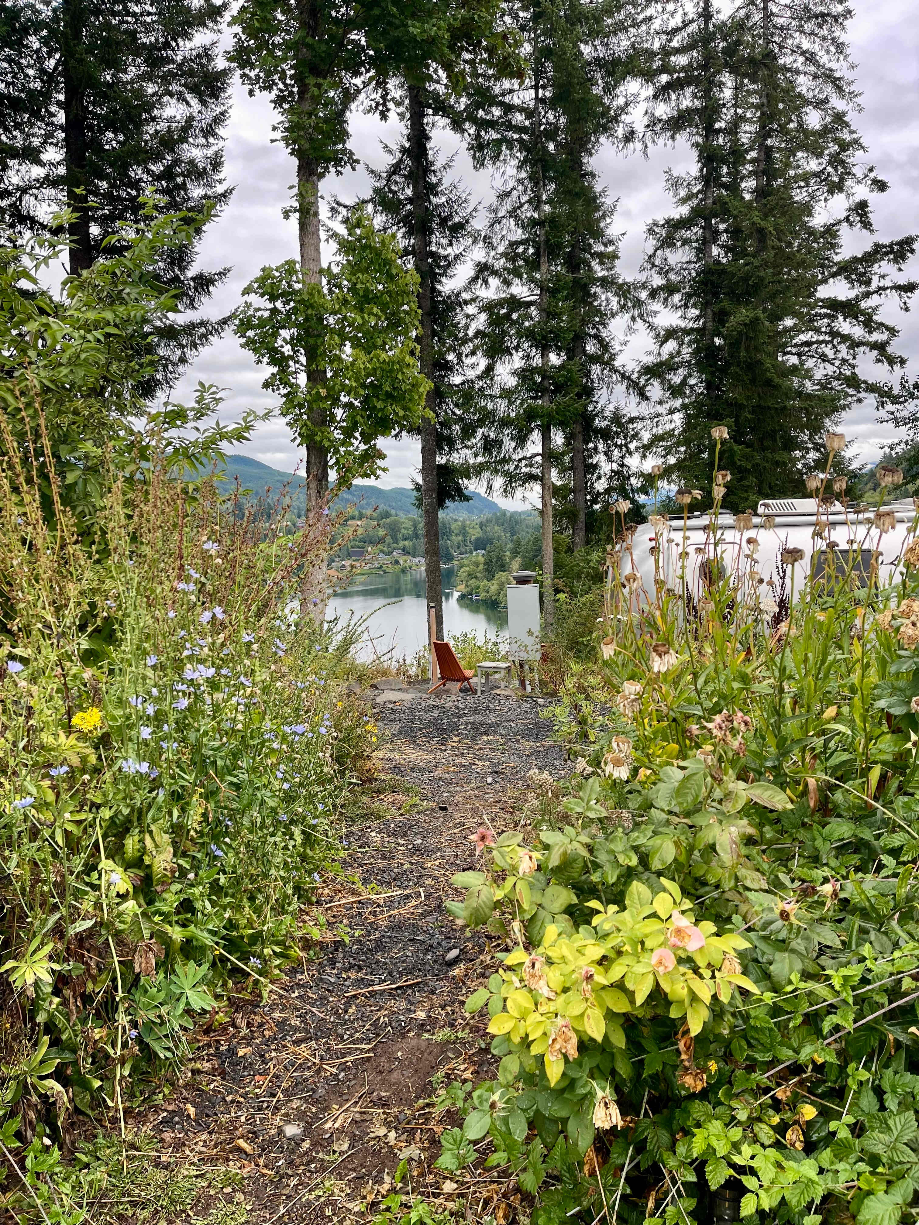 The Lookout at Mayfield Lake