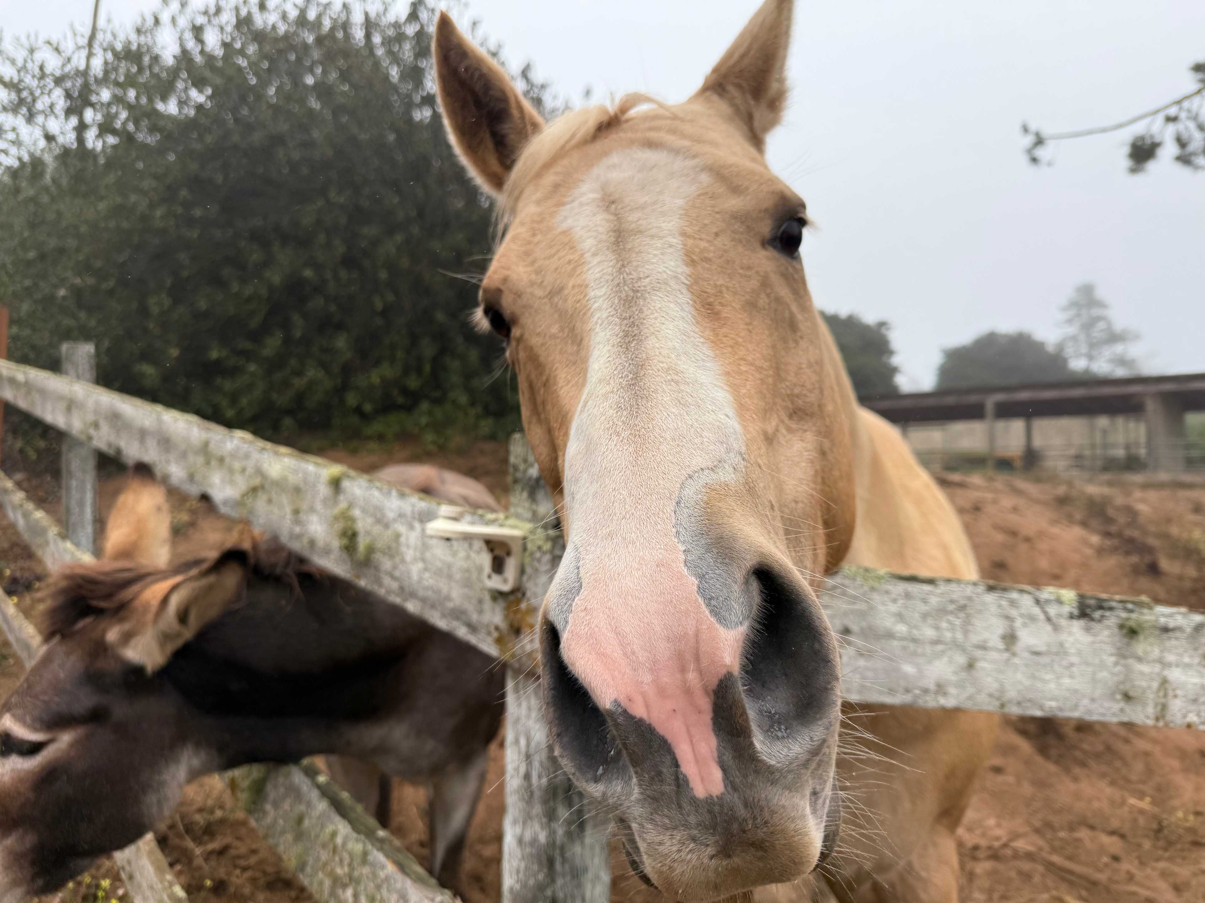 The best part of the ranch