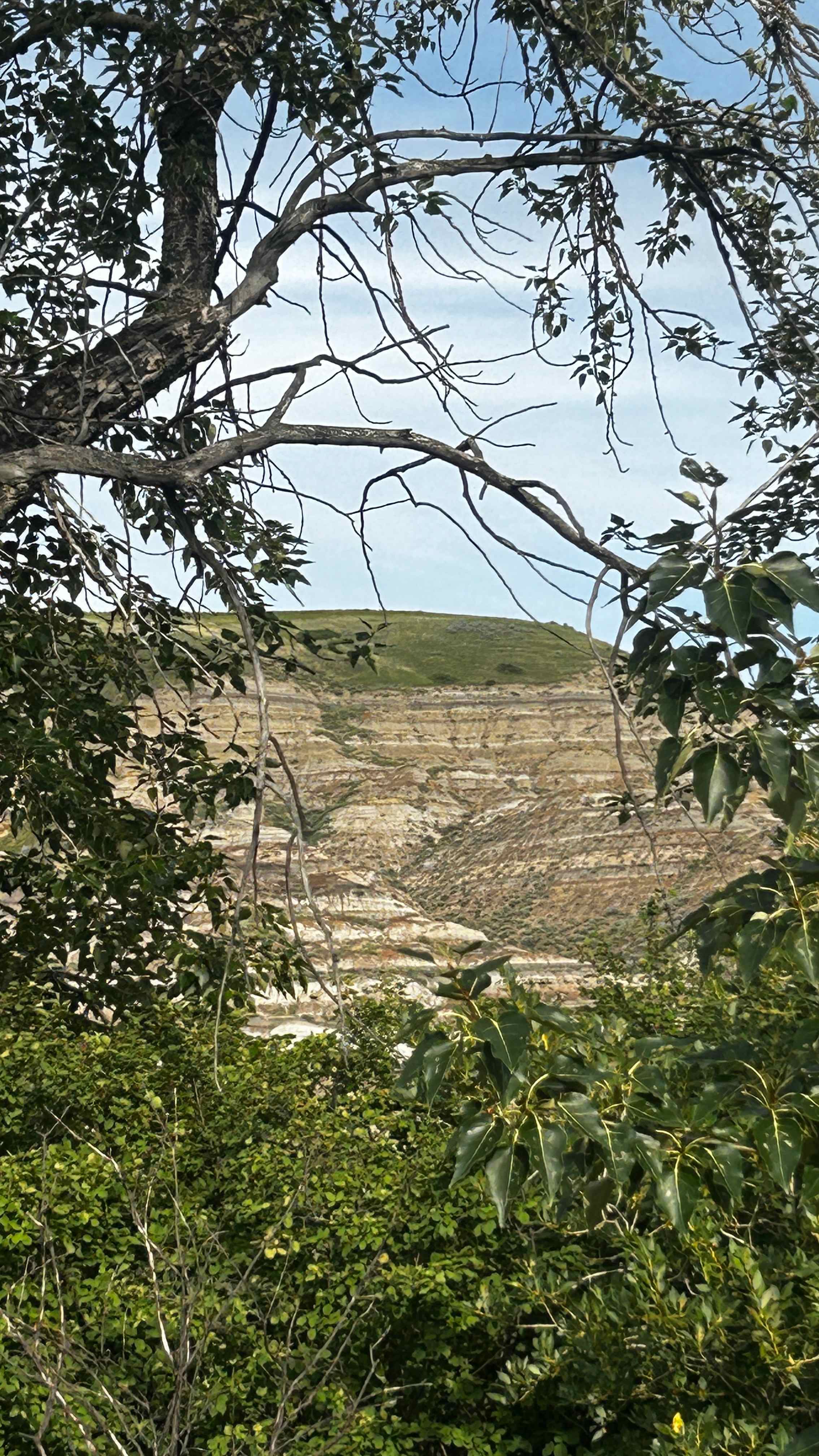 Badlands River View (Drumheller Valley)