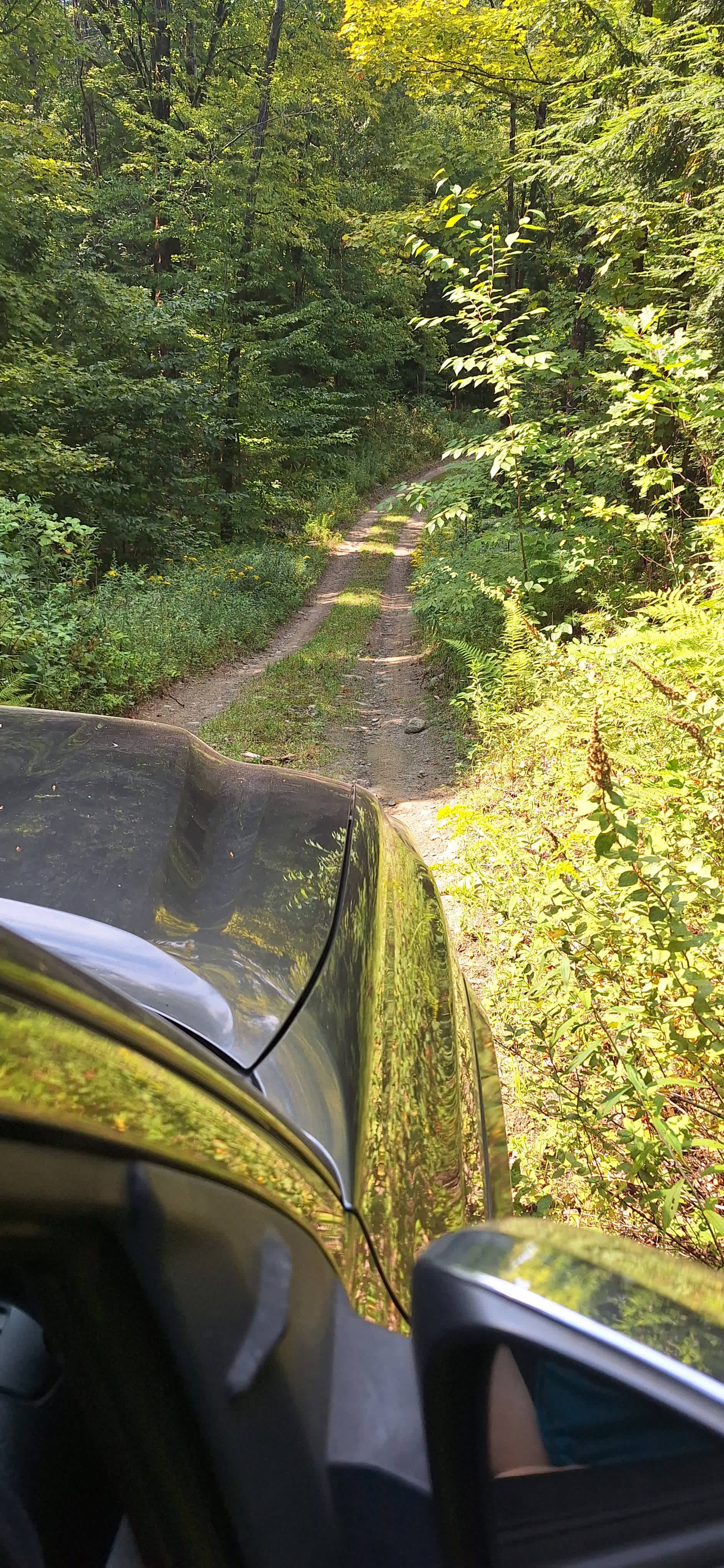 one of two pretty steep hills. Manageable and fun. 