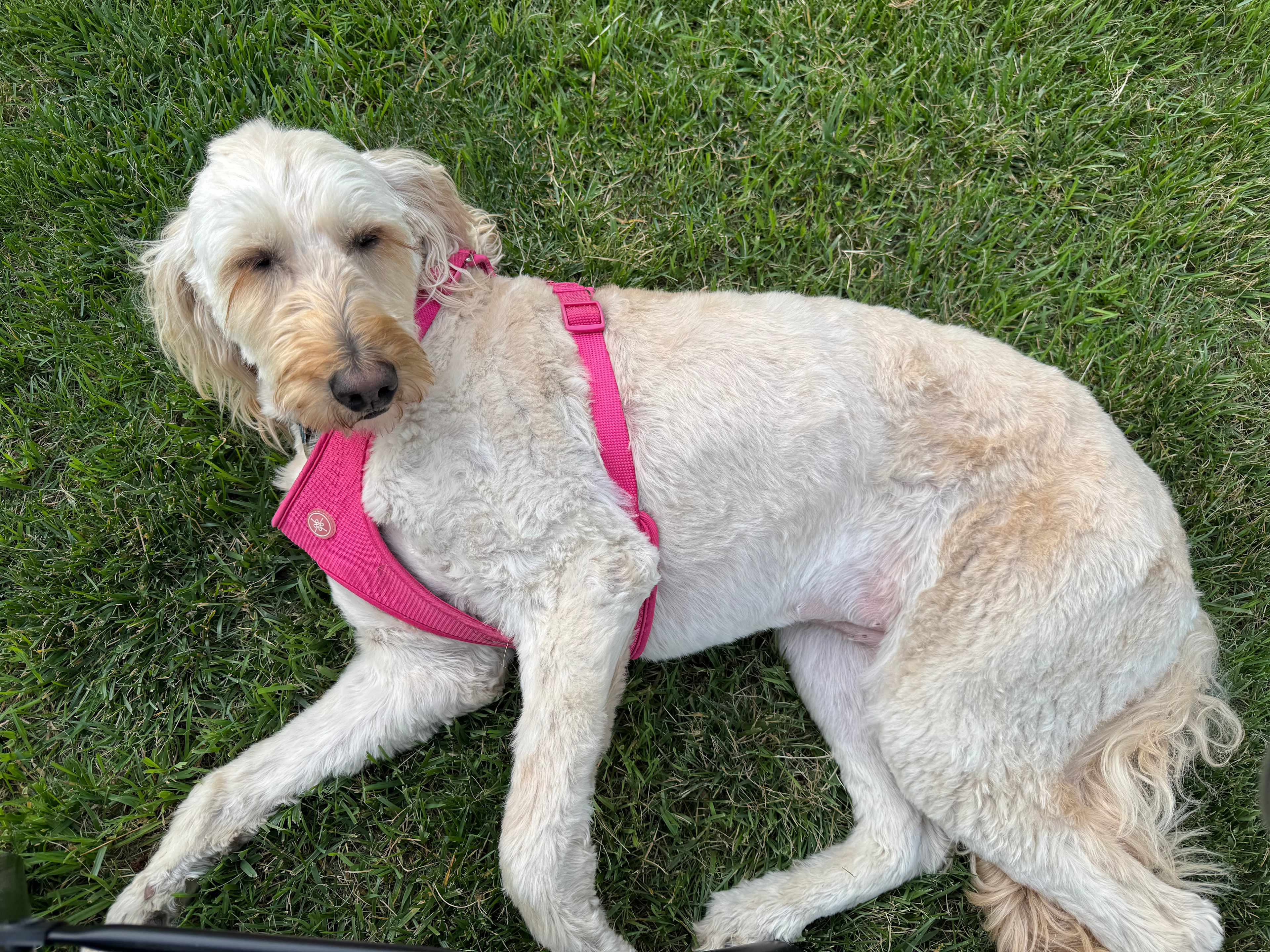 LAZY C Mini RV Park/Campground