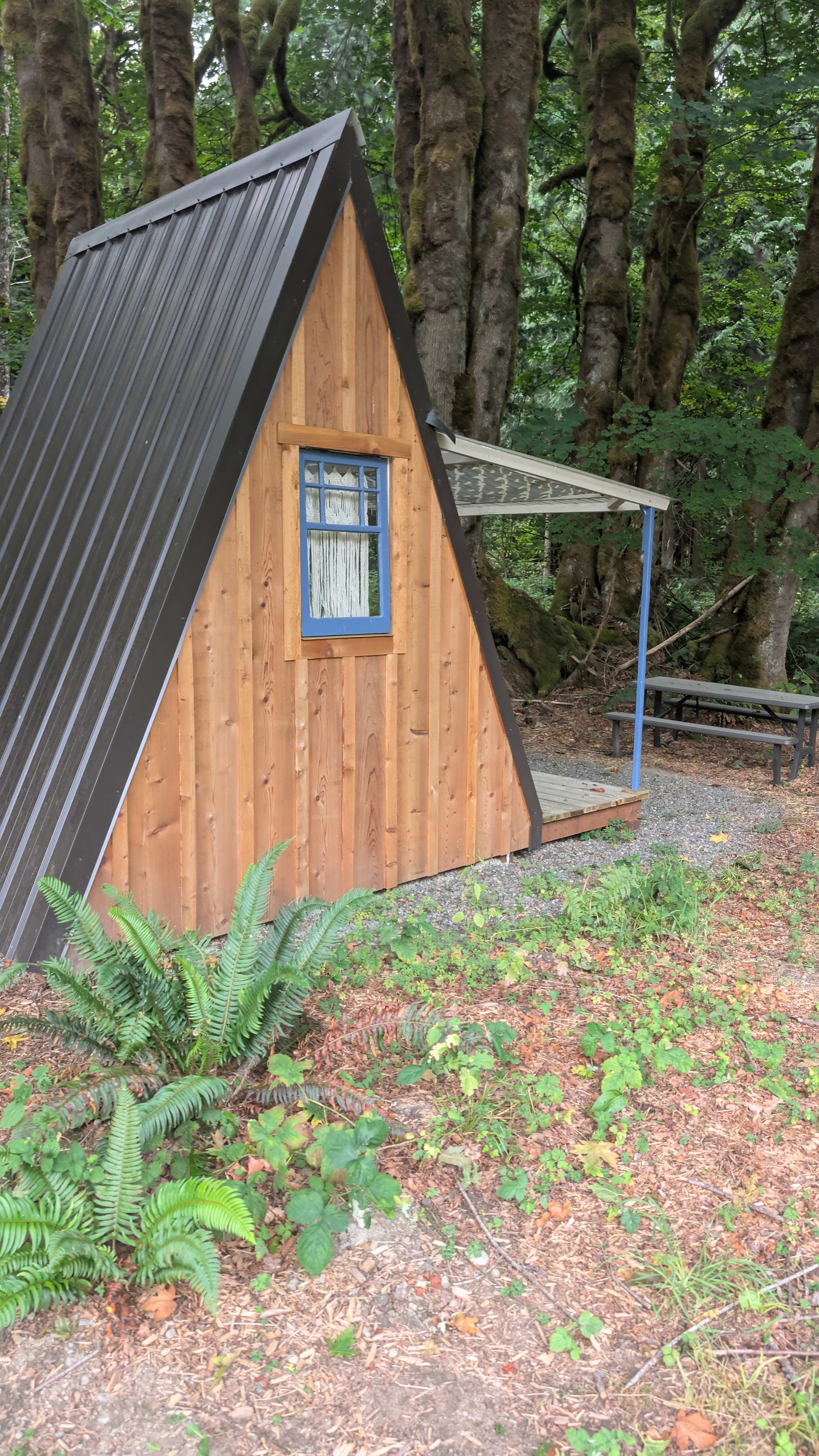 The Schoolhouse Farm