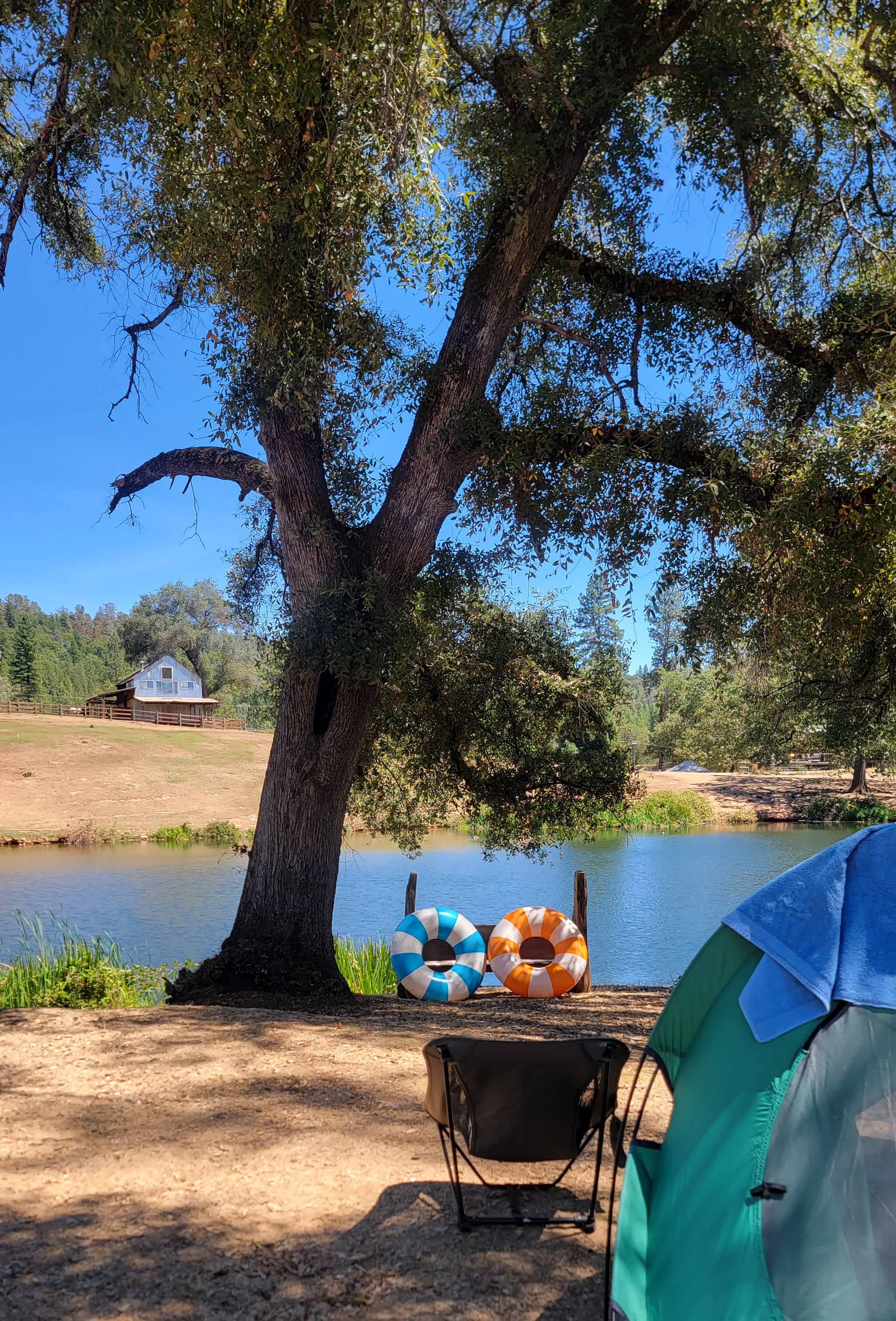 Animal Lovers Paradise