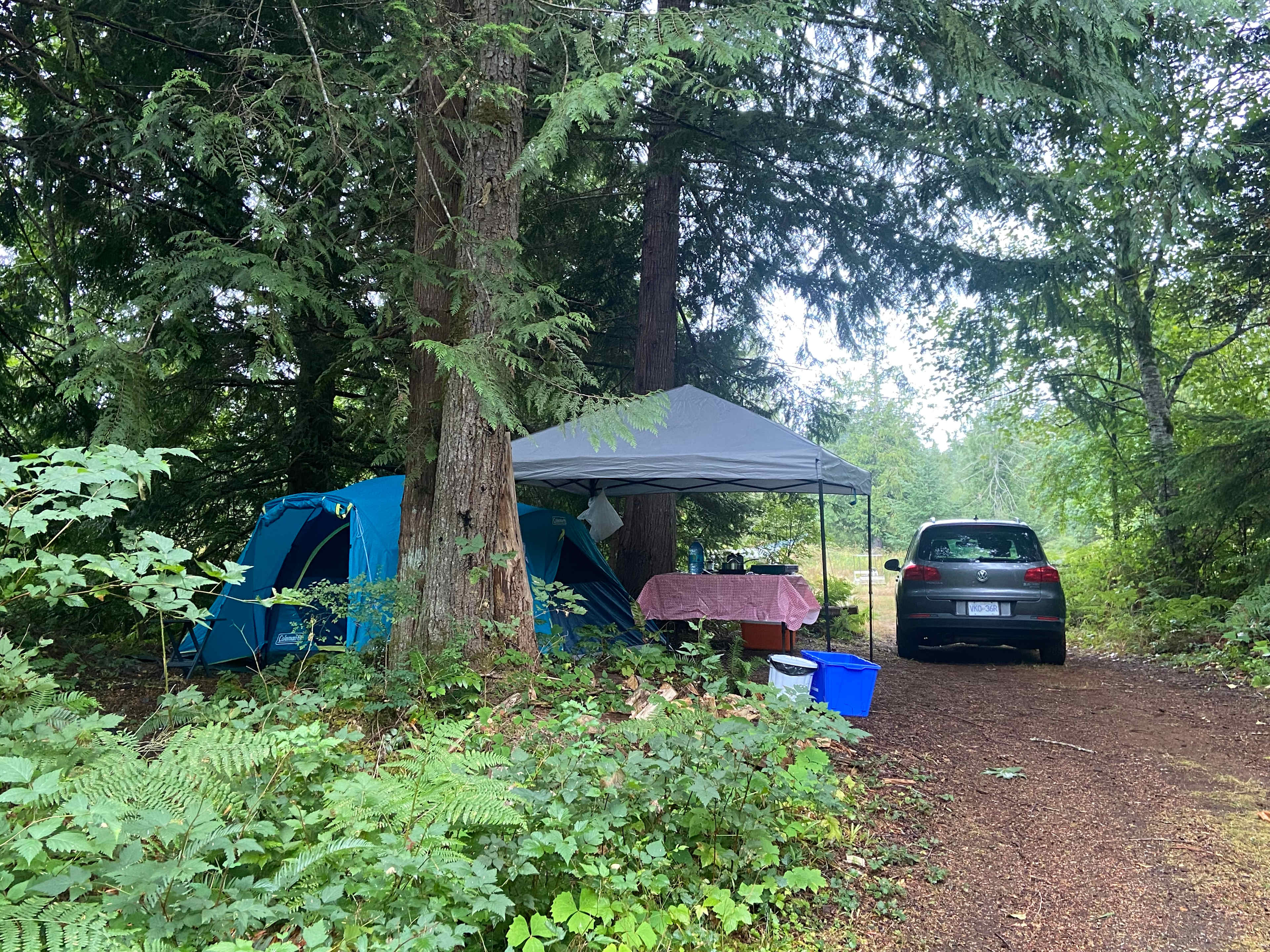 Dry place for your tent, outhouse across the driveway 