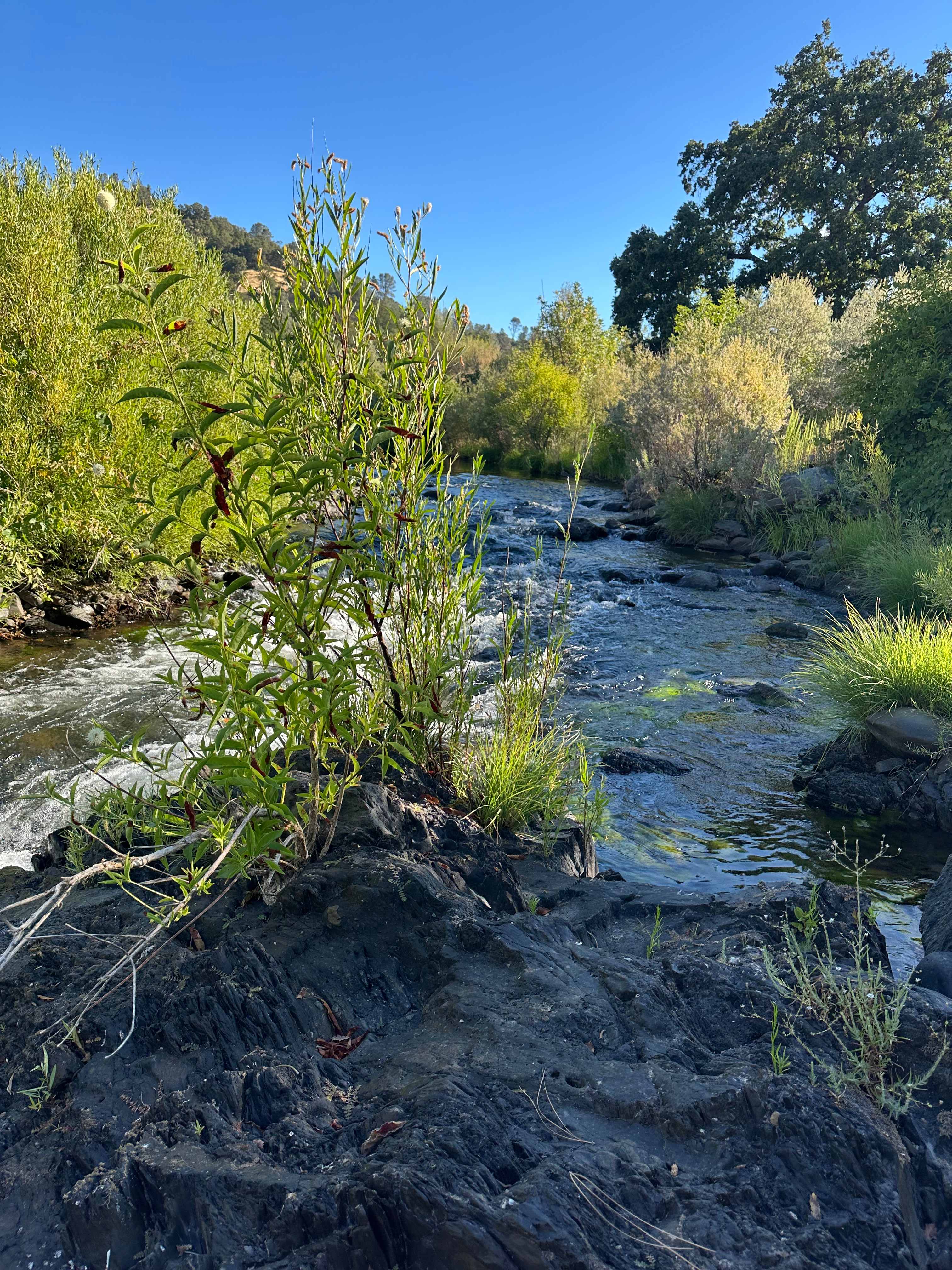 River access 100 feet away from site 4