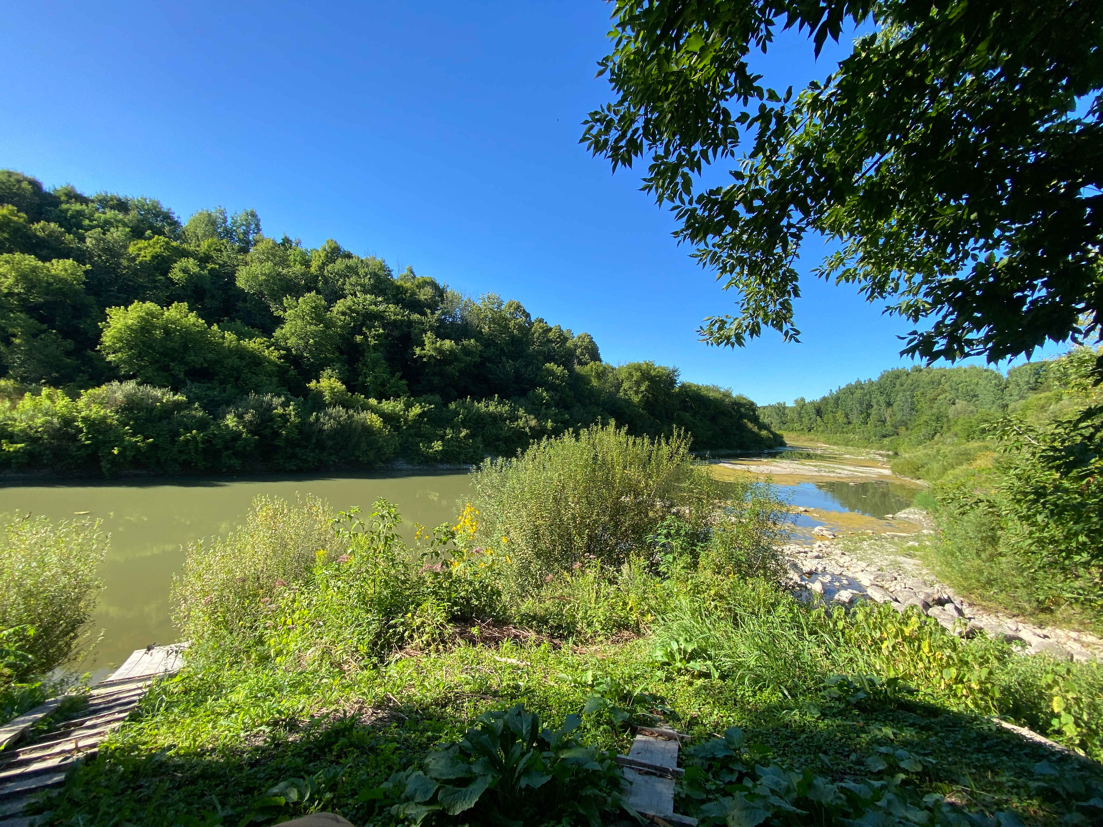 La Nation BedROCK 🤘 🏕️🔥🌲