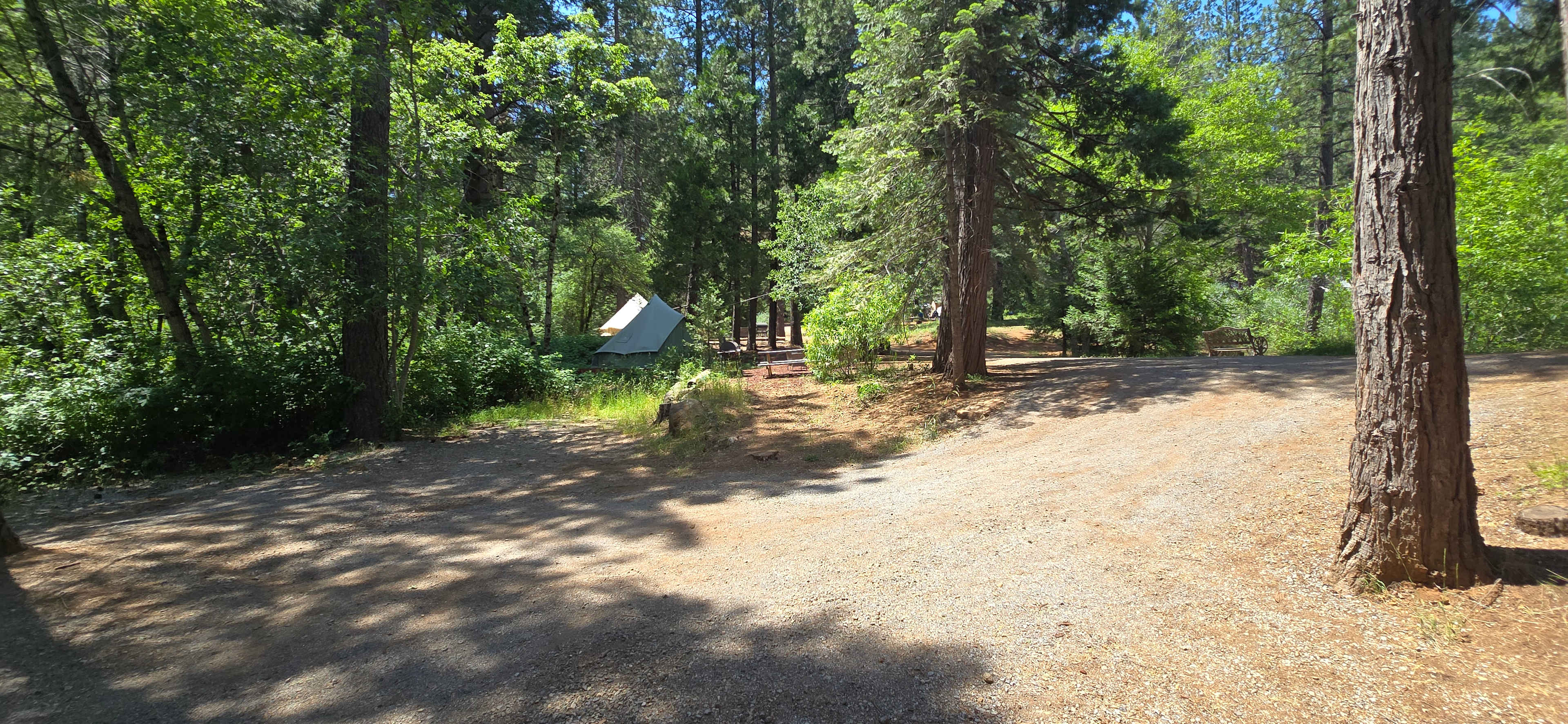Bigfoot Lodging Vacation Rentals