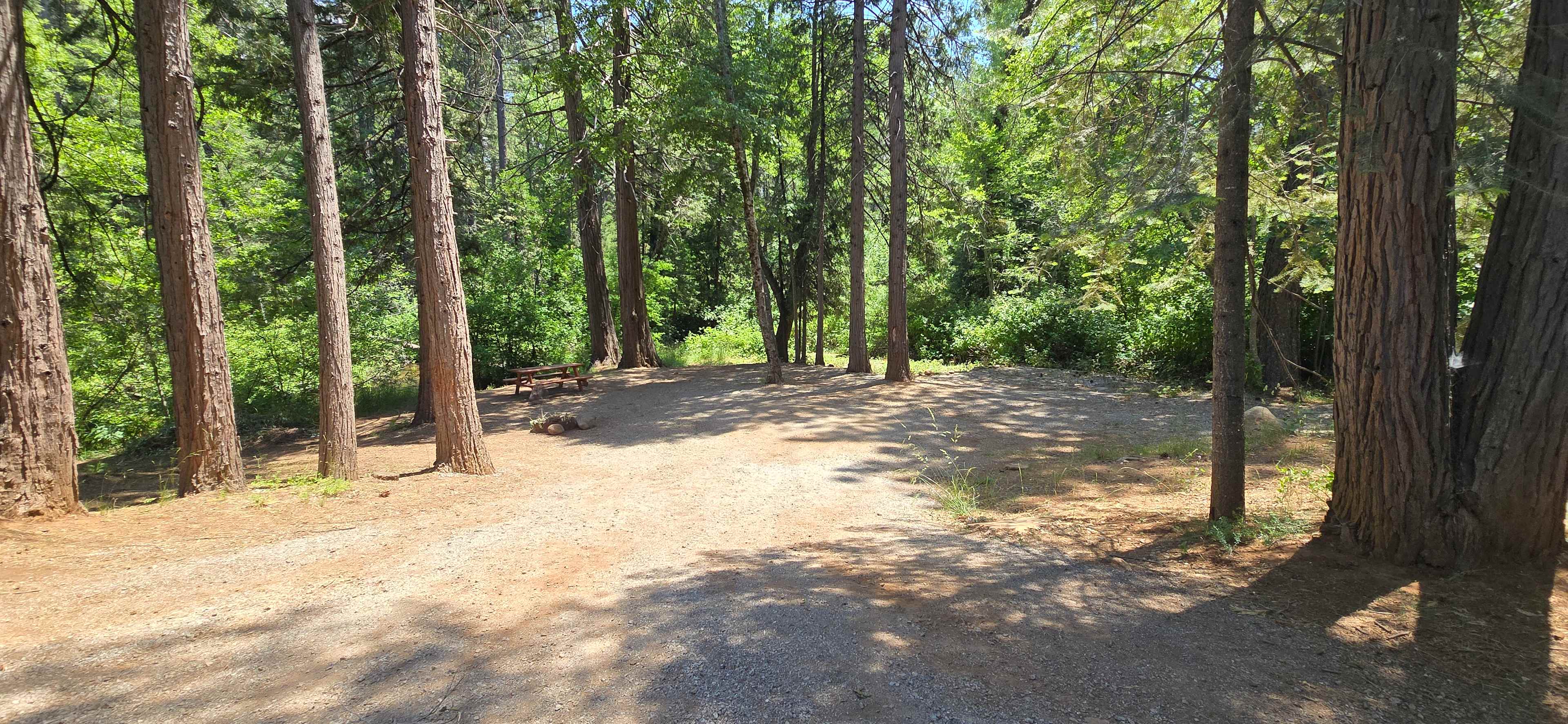 Bigfoot Lodging Vacation Rentals