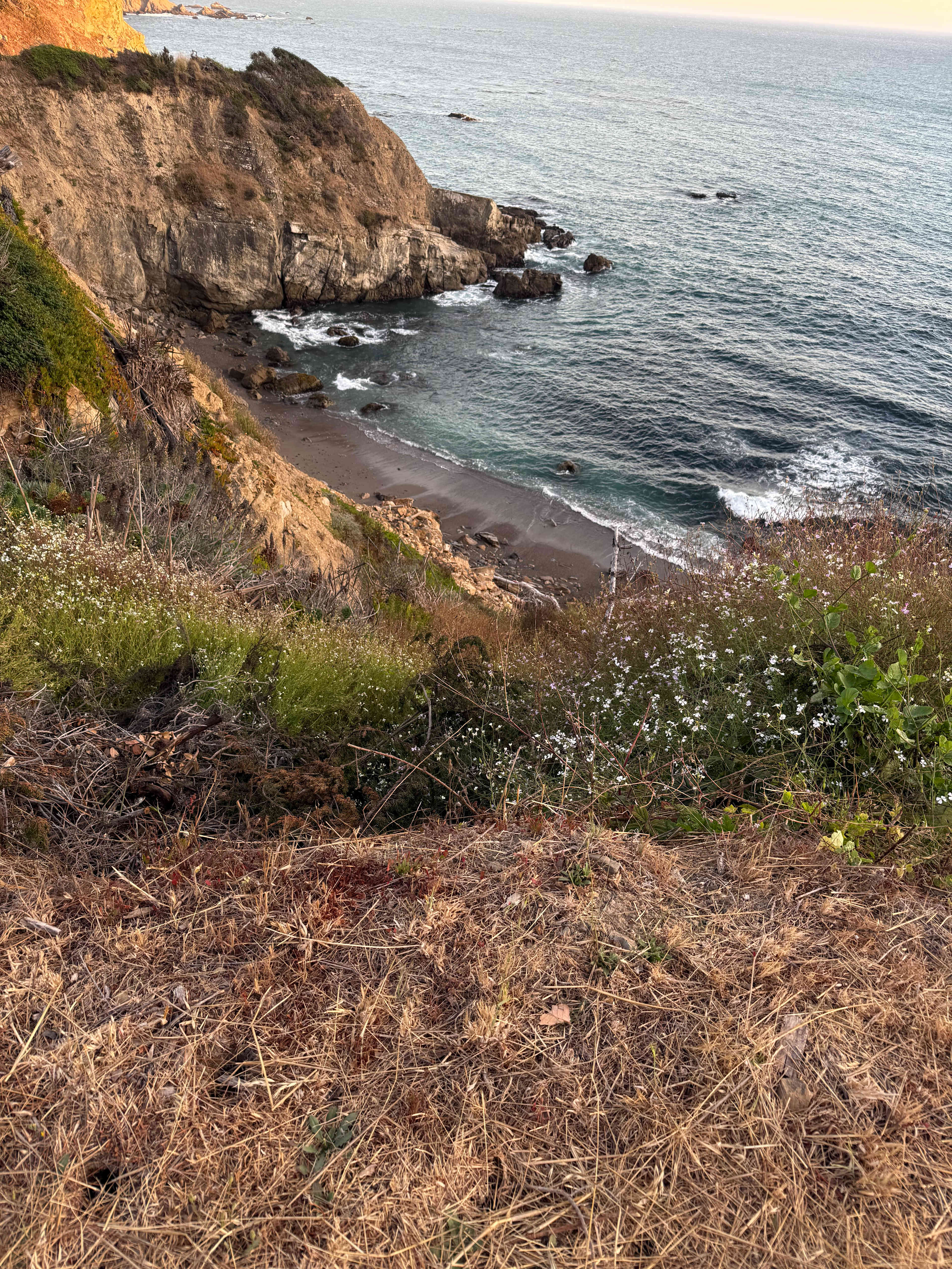 Timber Cove Campground